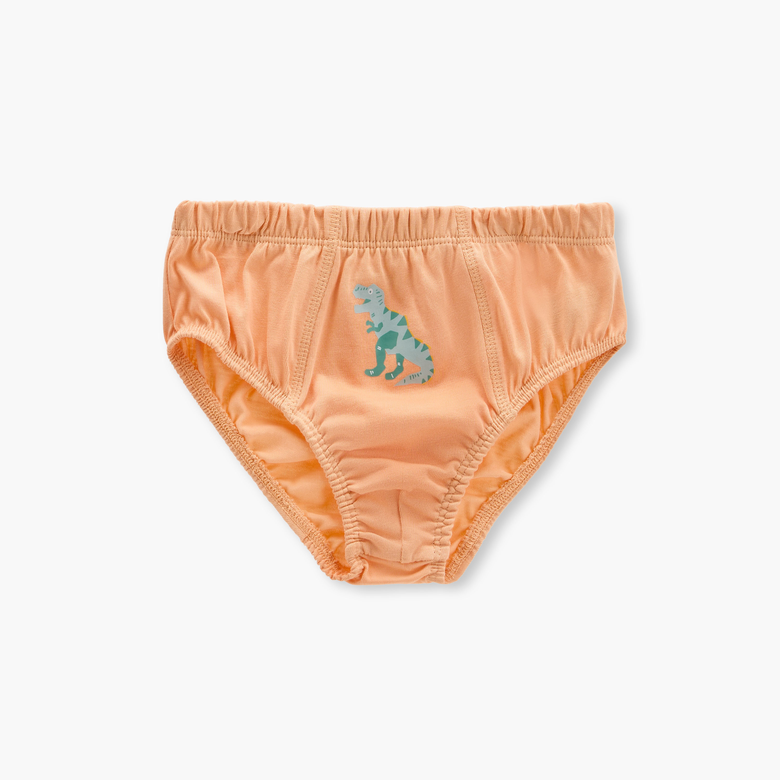Juniors Dinosaur Print Briefs with Elasticated Waistband - Set of 7-boys-clothing-innerwear-boxersandbriefs-image-2