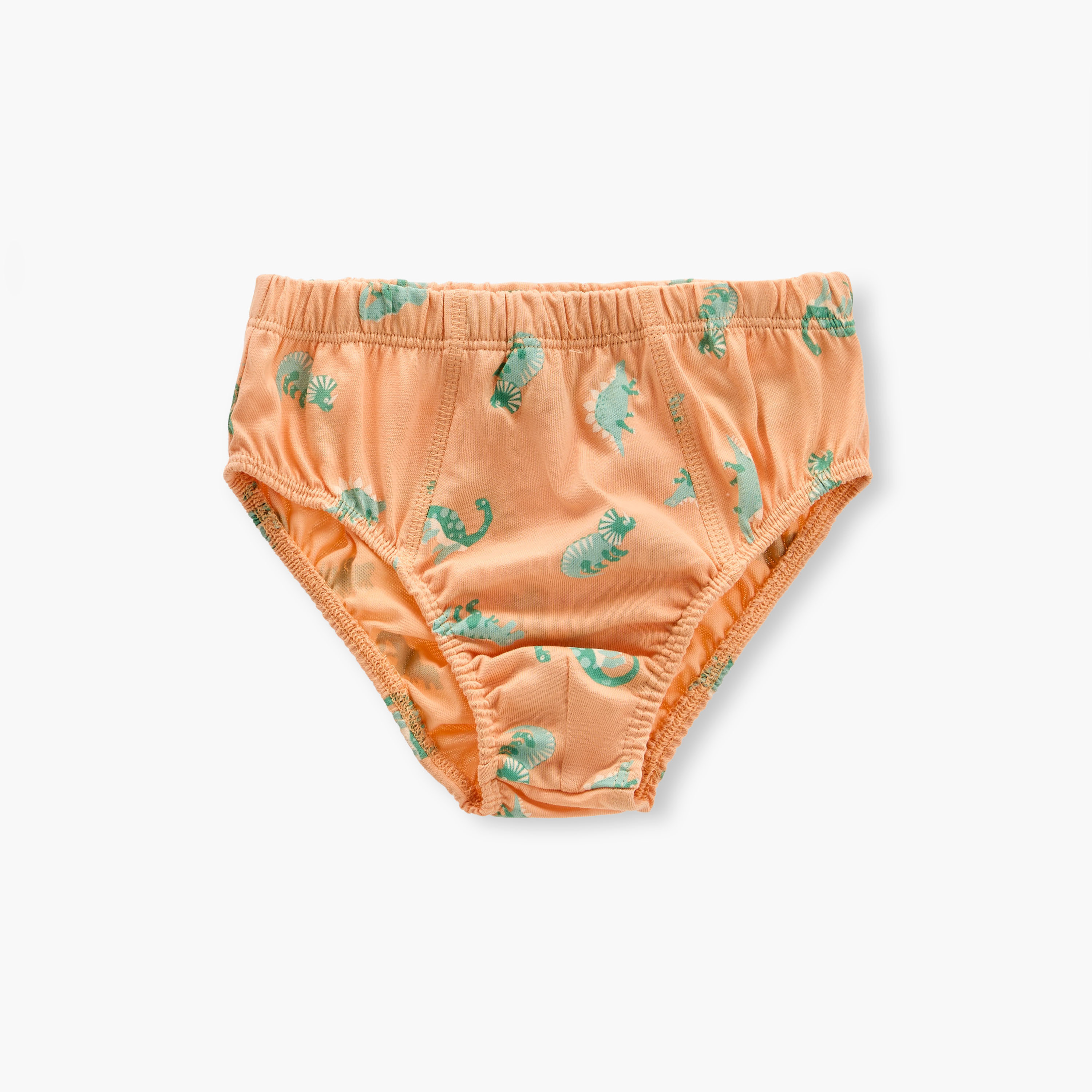 Juniors Dinosaur Print Briefs with Elasticated Waistband - Set of 7-boys-clothing-innerwear-boxersandbriefs-image-3