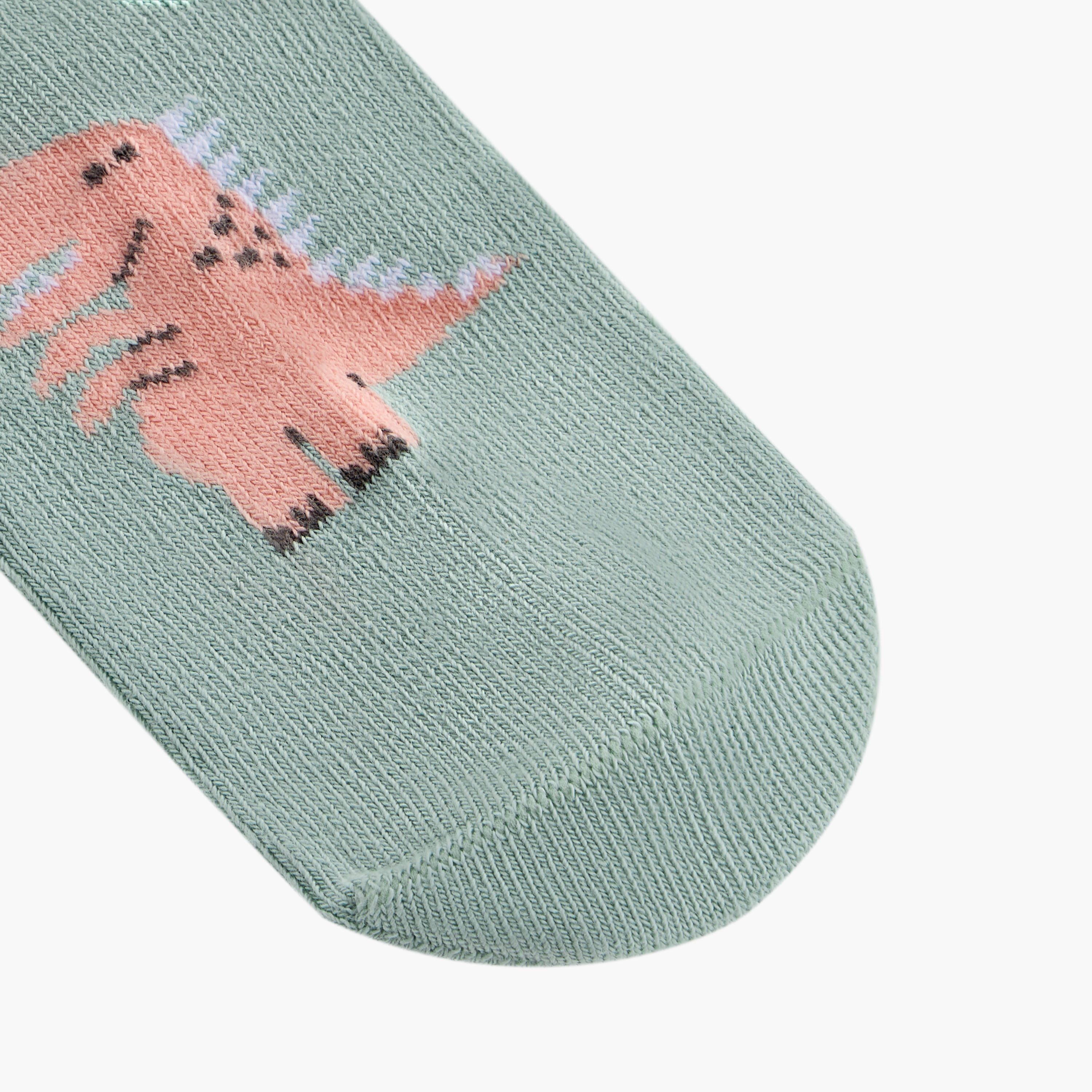 Juniors Dino Print Ankle Length Socks - Set of 7-baby-boys-accessories-socks-image-3