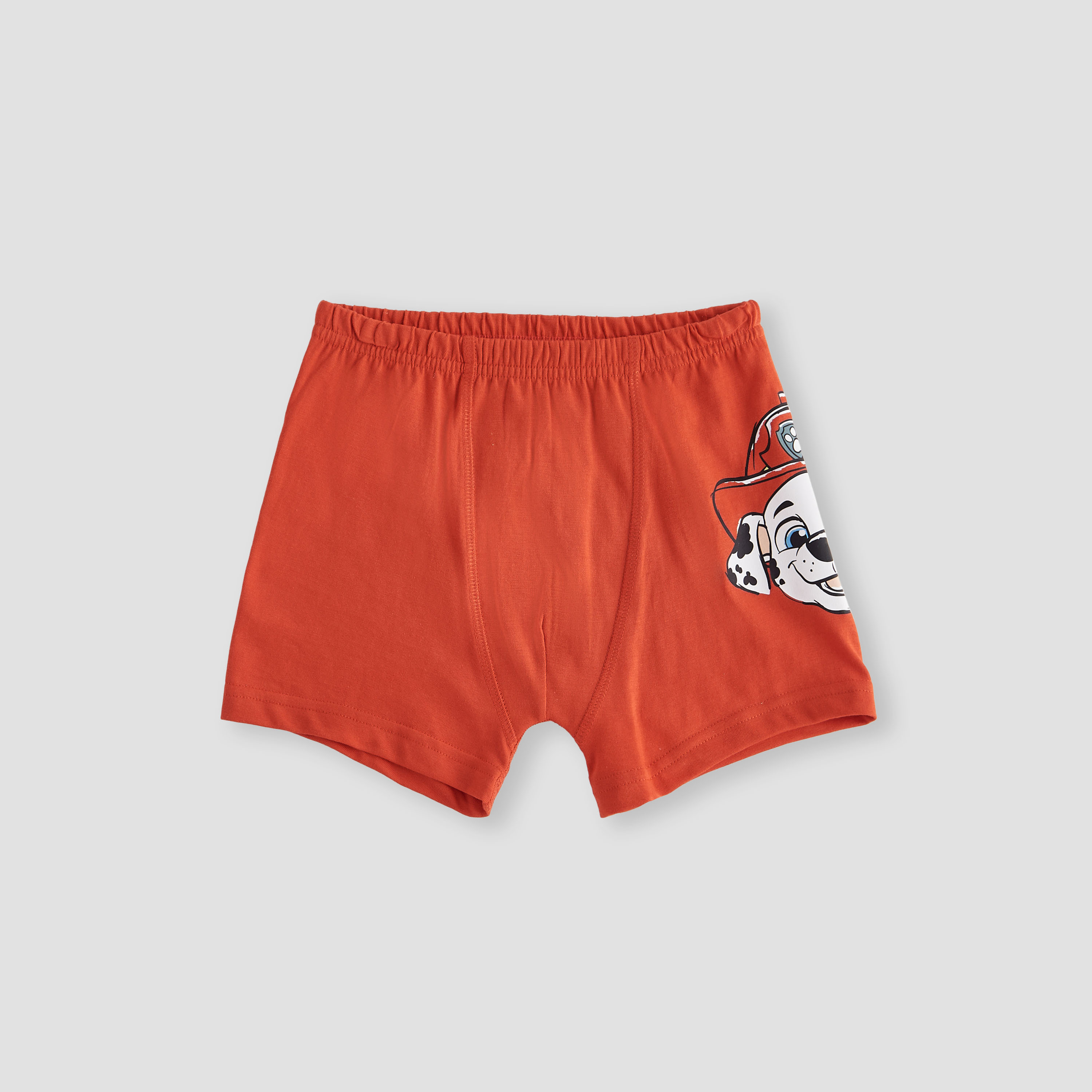 PAW Patrol Print Boxer Briefs - Set of 3-boys-clothing-innerwear-boxersandbriefs-image-2