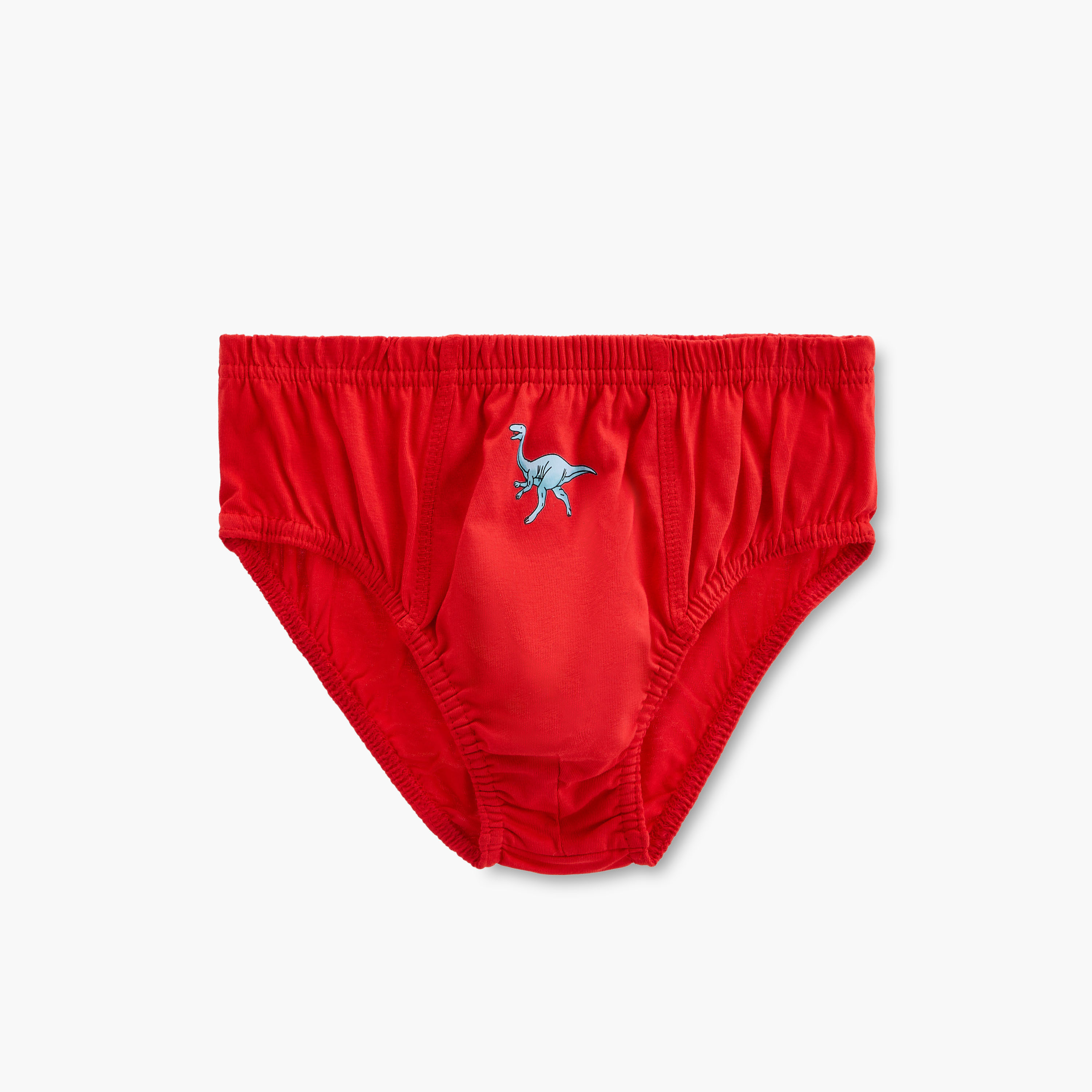 Juniors Dinosaur Print Briefs with Elasticated Waistband - Set of 5-boys-clothing-innerwear-boxersandbriefs-image-3