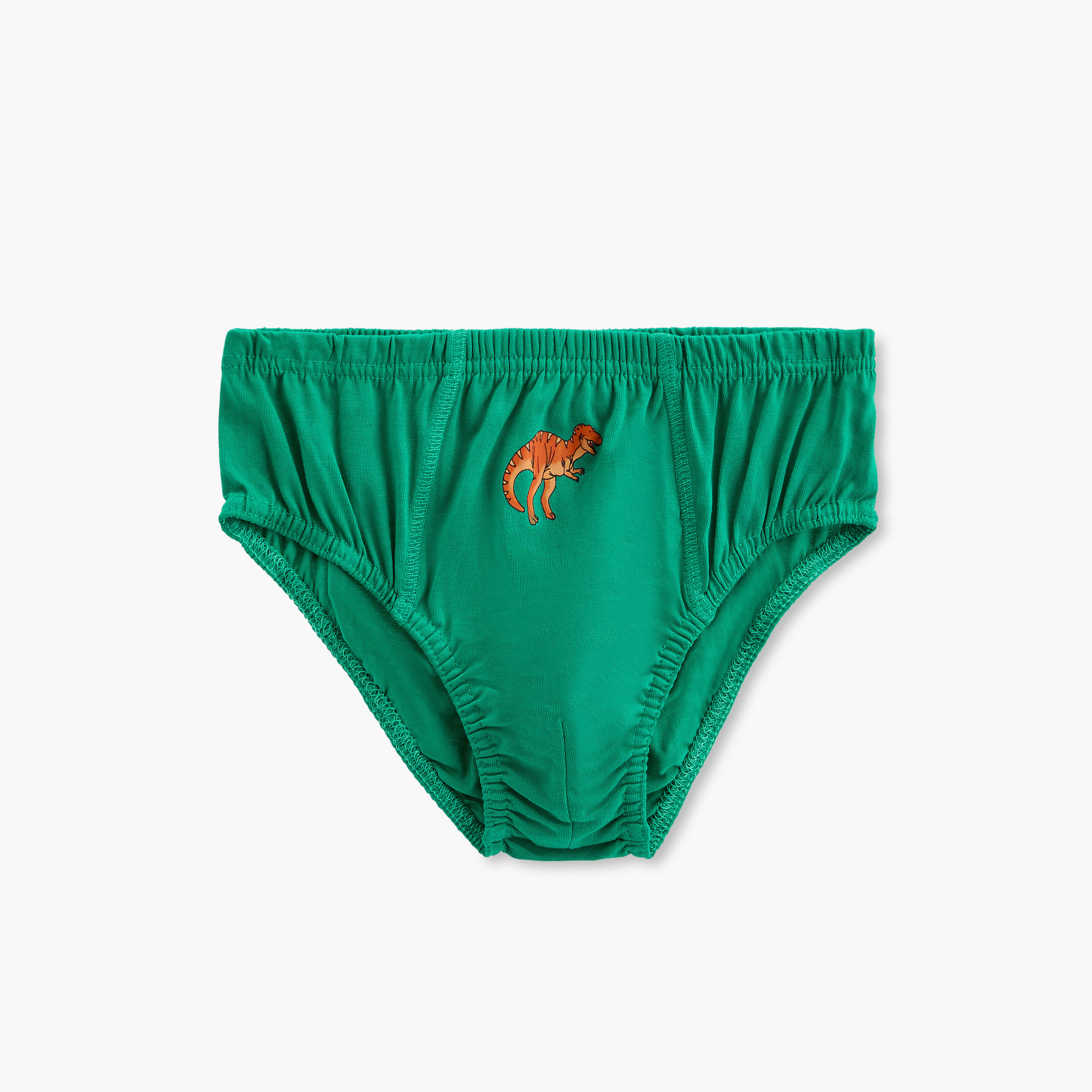 Juniors Dinosaur Print Briefs with Elasticated Waistband - Set of 5-boys-clothing-innerwear-boxersandbriefs-image-4