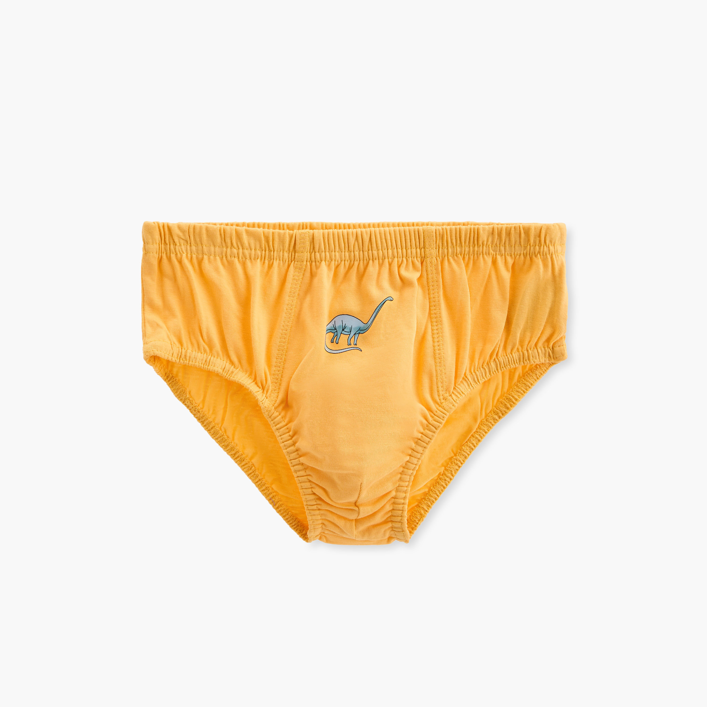 Juniors Dinosaur Print Briefs with Elasticated Waistband - Set of 5-boys-clothing-innerwear-boxersandbriefs-image-5