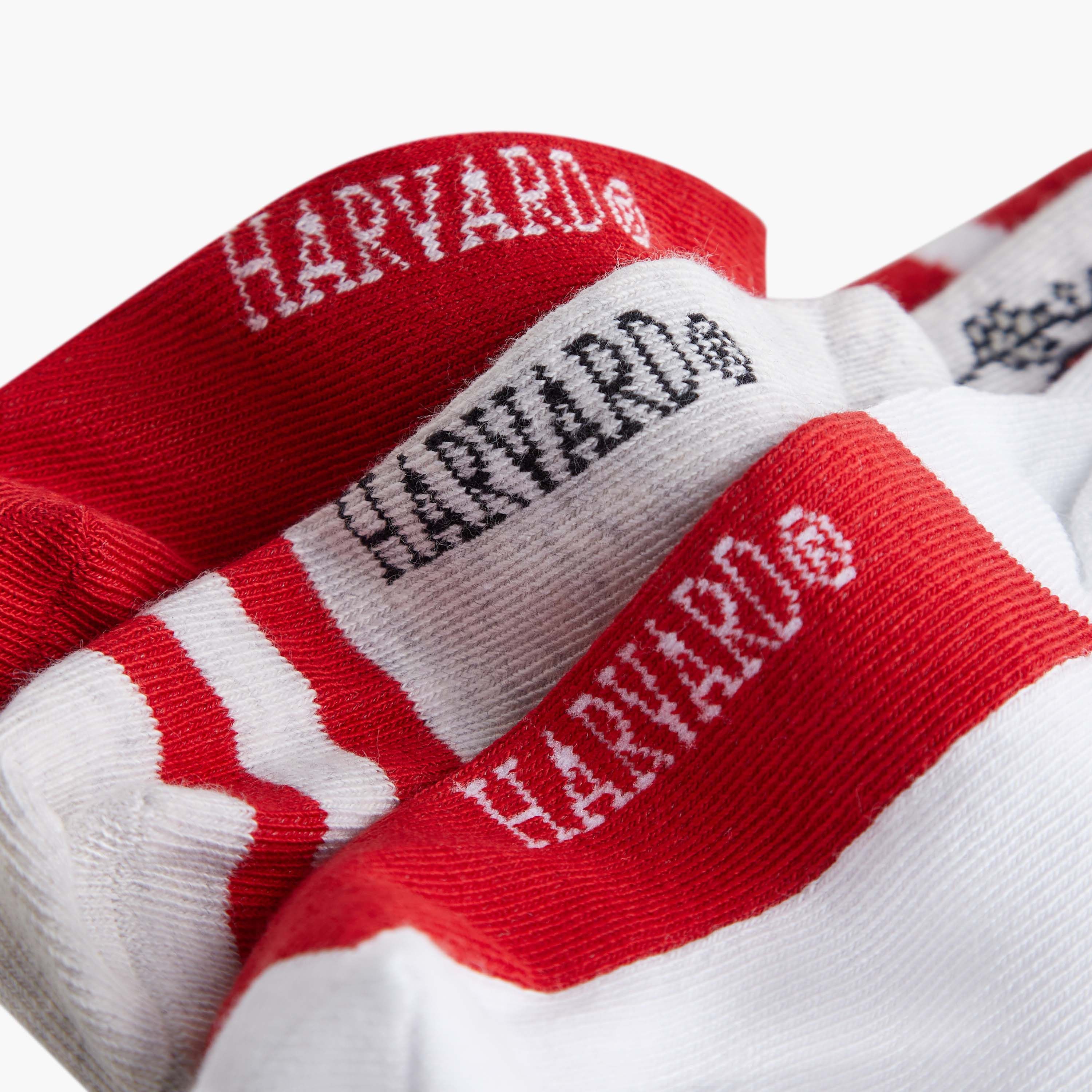 Harvard University Logo Detail Ankle Length Socks - Set of 3-boys-accessories-socks-image-4