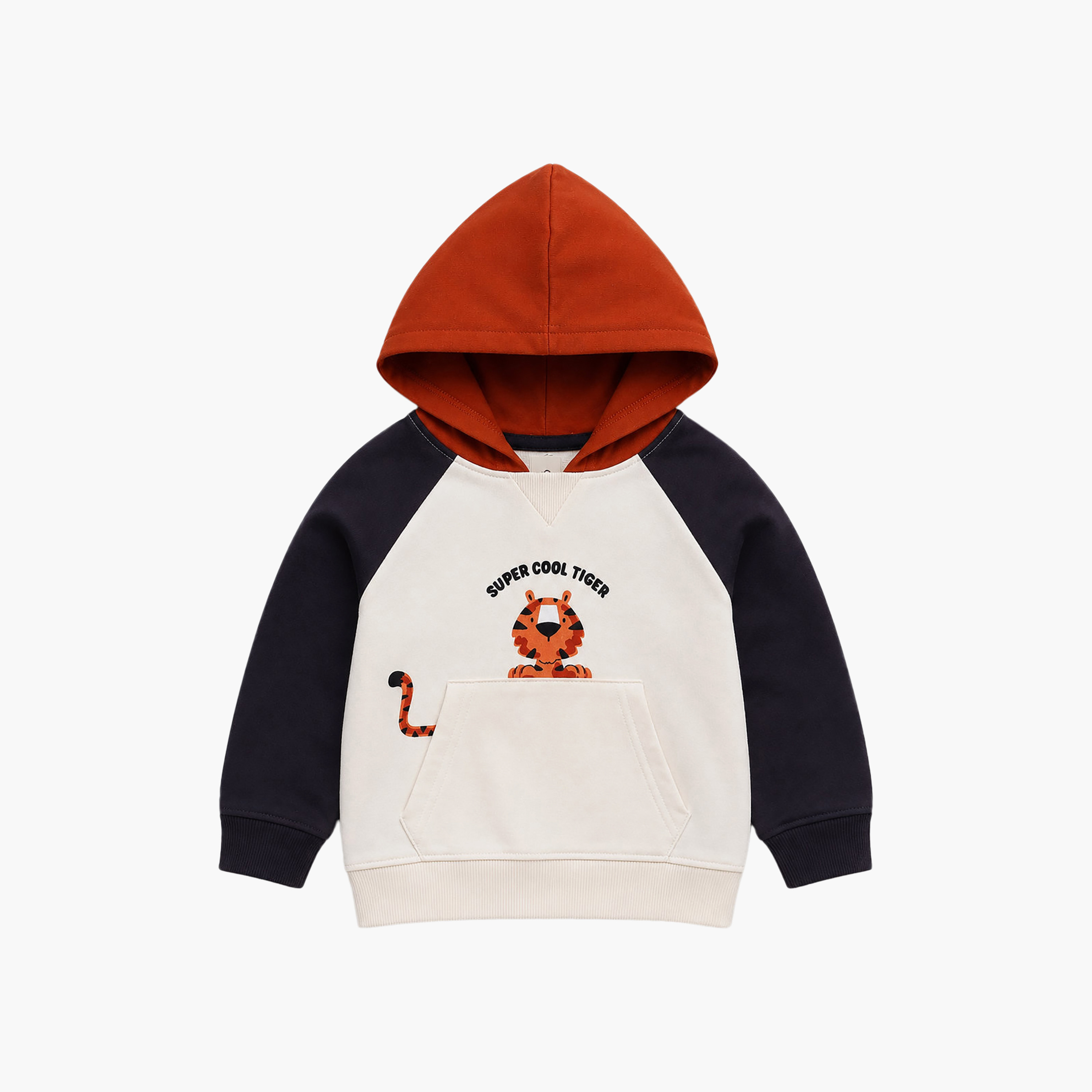 Victor and Jane 2-Piece Hoodie & Joggers-baby-boys-clothing-setsandcoords-image-4