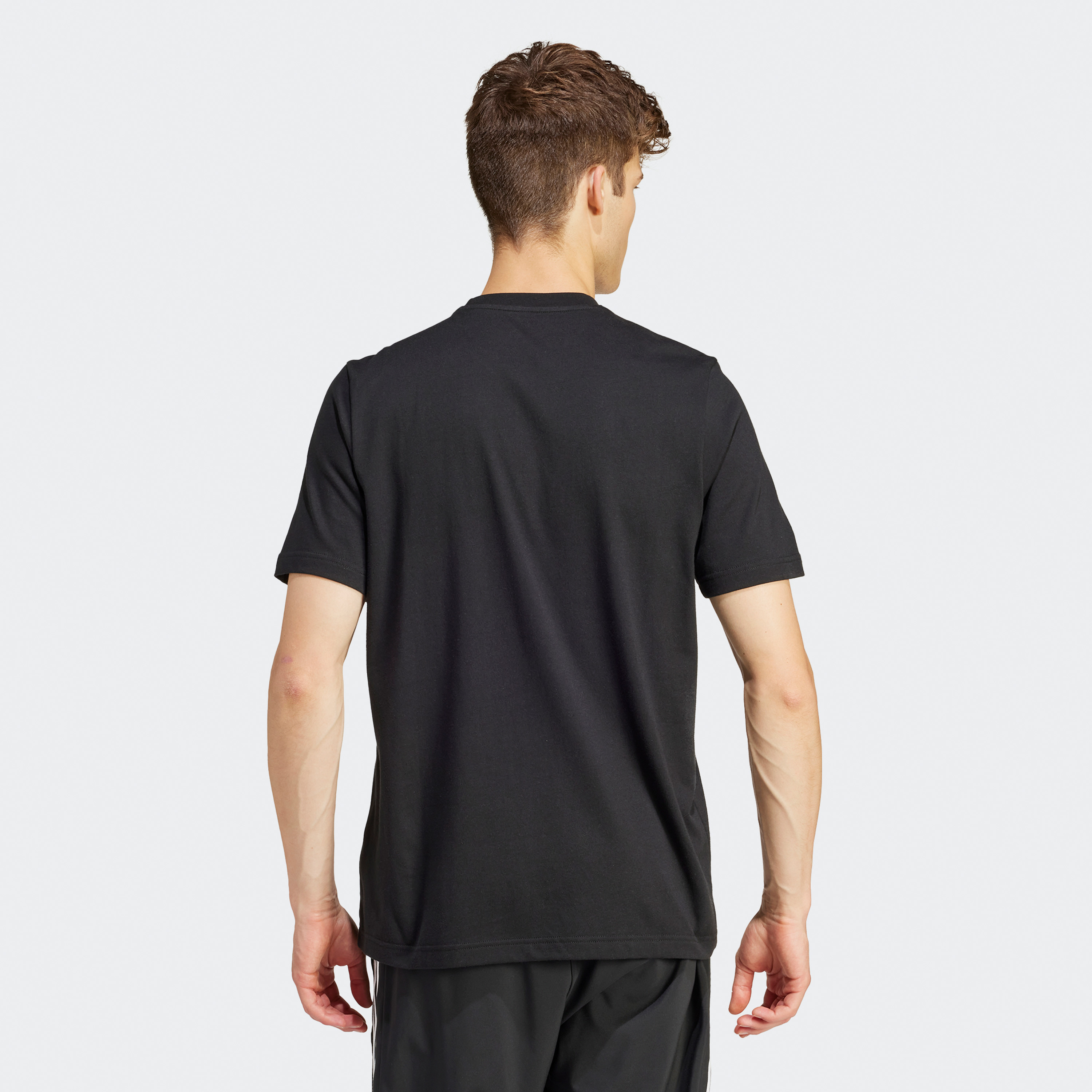 adidas Men's Landscape Sportswear Graphic T-Shirt IM8316|OE-men-clothing-sportswearandactivewear-tshirtsandpolos-image-2