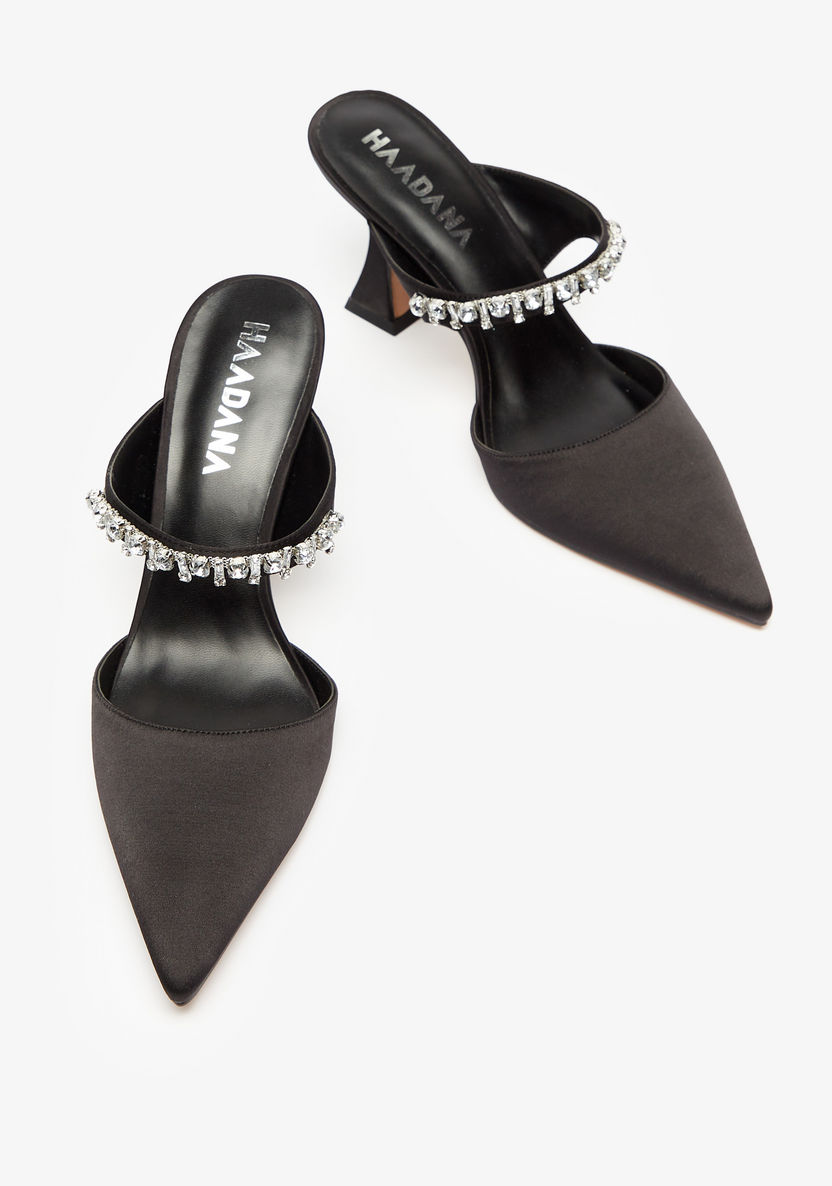 Haadana Embellished Pointed Toe Stiletto Heels-Women%27s Heel Shoes-image-1