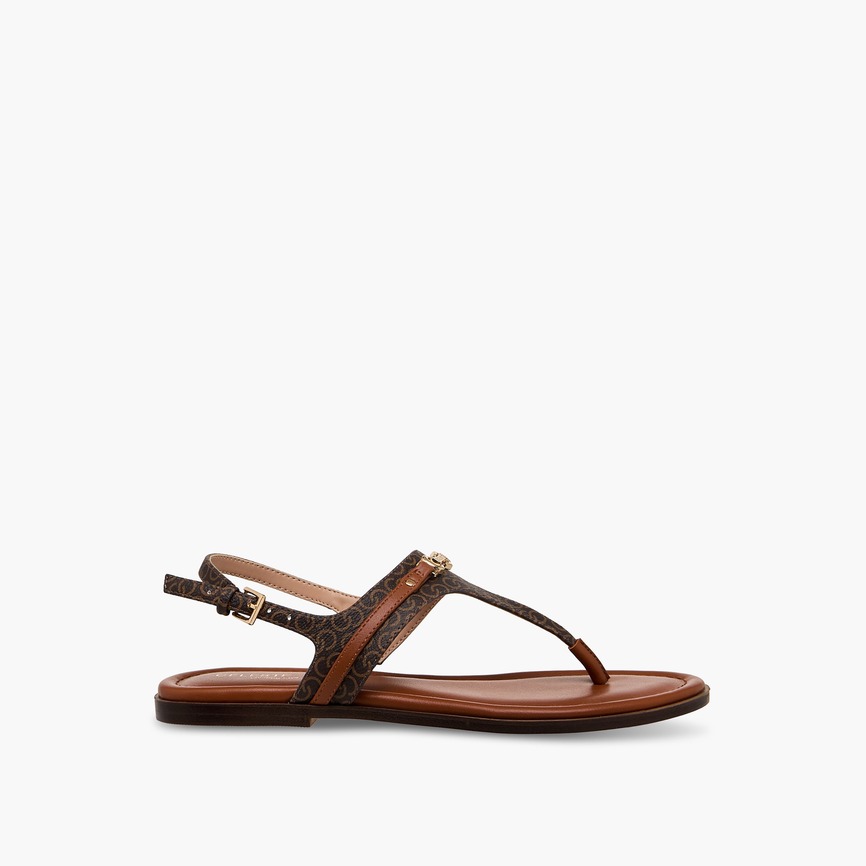 Celeste Women Buckle Closure Strap Sandals-women-shoes-flats-sandals-image-3