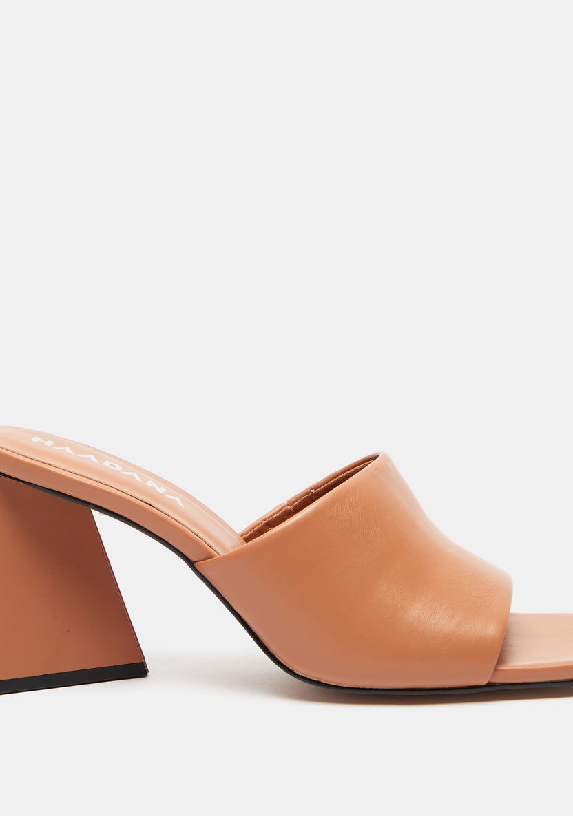 Haadana Solid Slip-On Sandals with Triangular Block Heels-Women%27s Heel Sandals-image-0