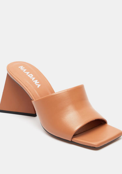 Haadana Solid Slip-On Sandals with Triangular Block Heels-Women%27s Heel Sandals-image-1