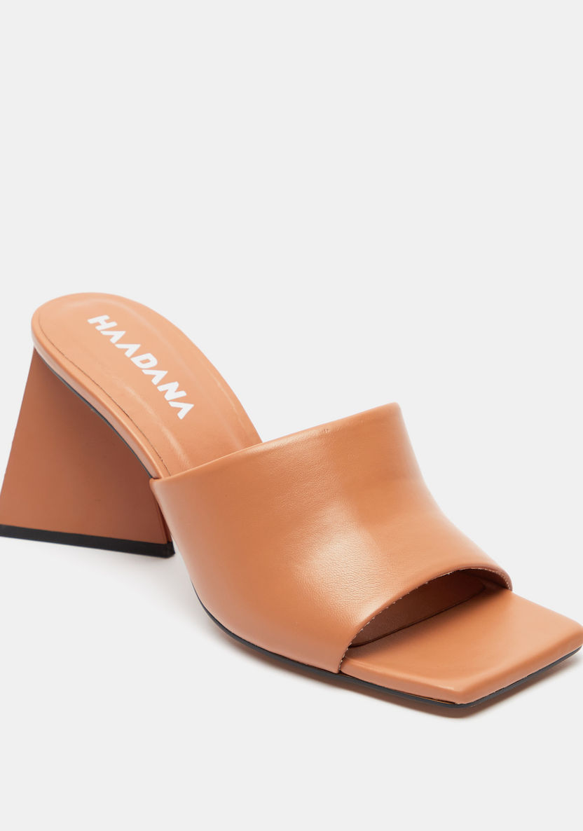 Haadana Solid Slip-On Sandals with Triangular Block Heels-Women%27s Heel Sandals-image-1