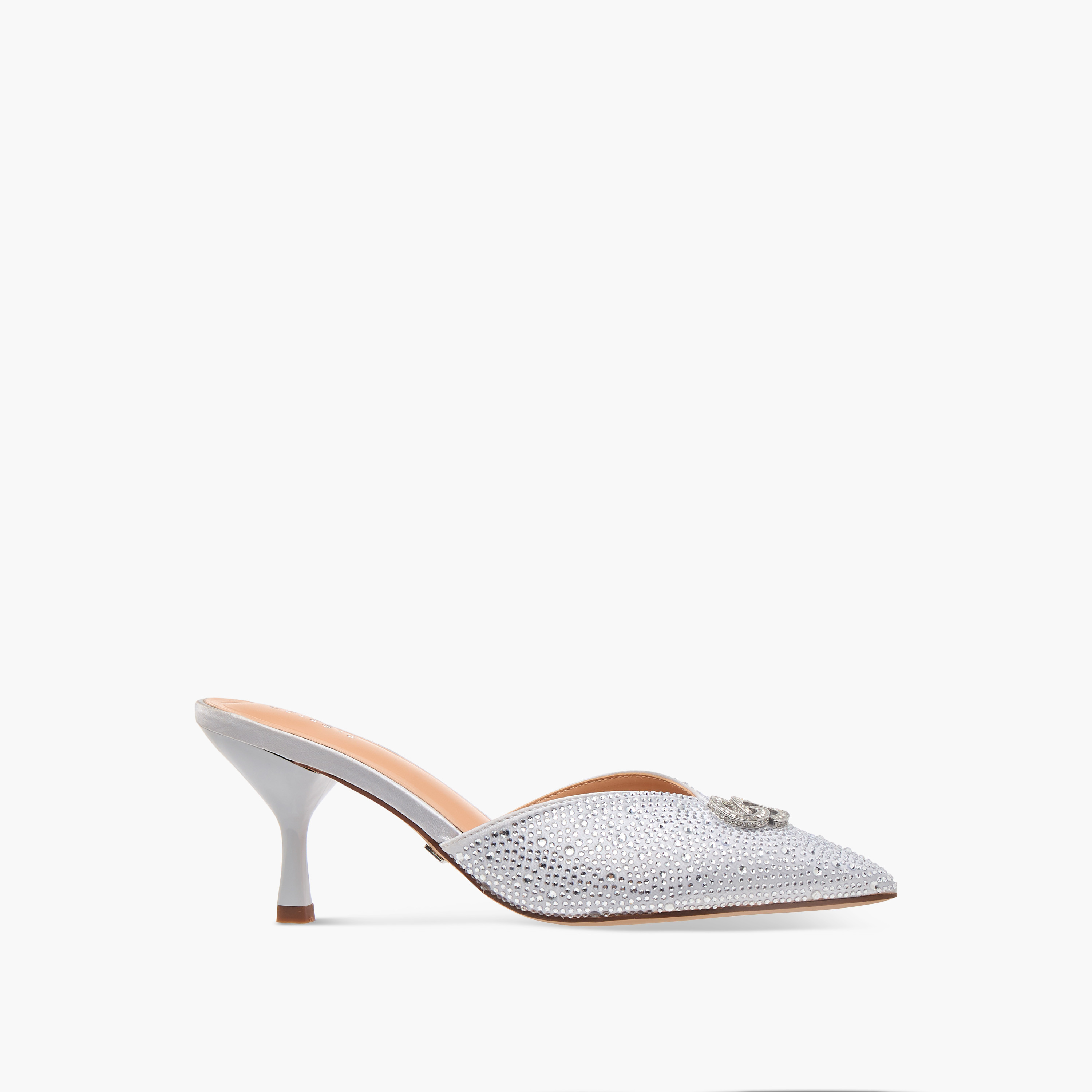 Celeste Women's Embellished Pointed Toe Shoes with Stiletto Heels-women-shoes-heels-image-3