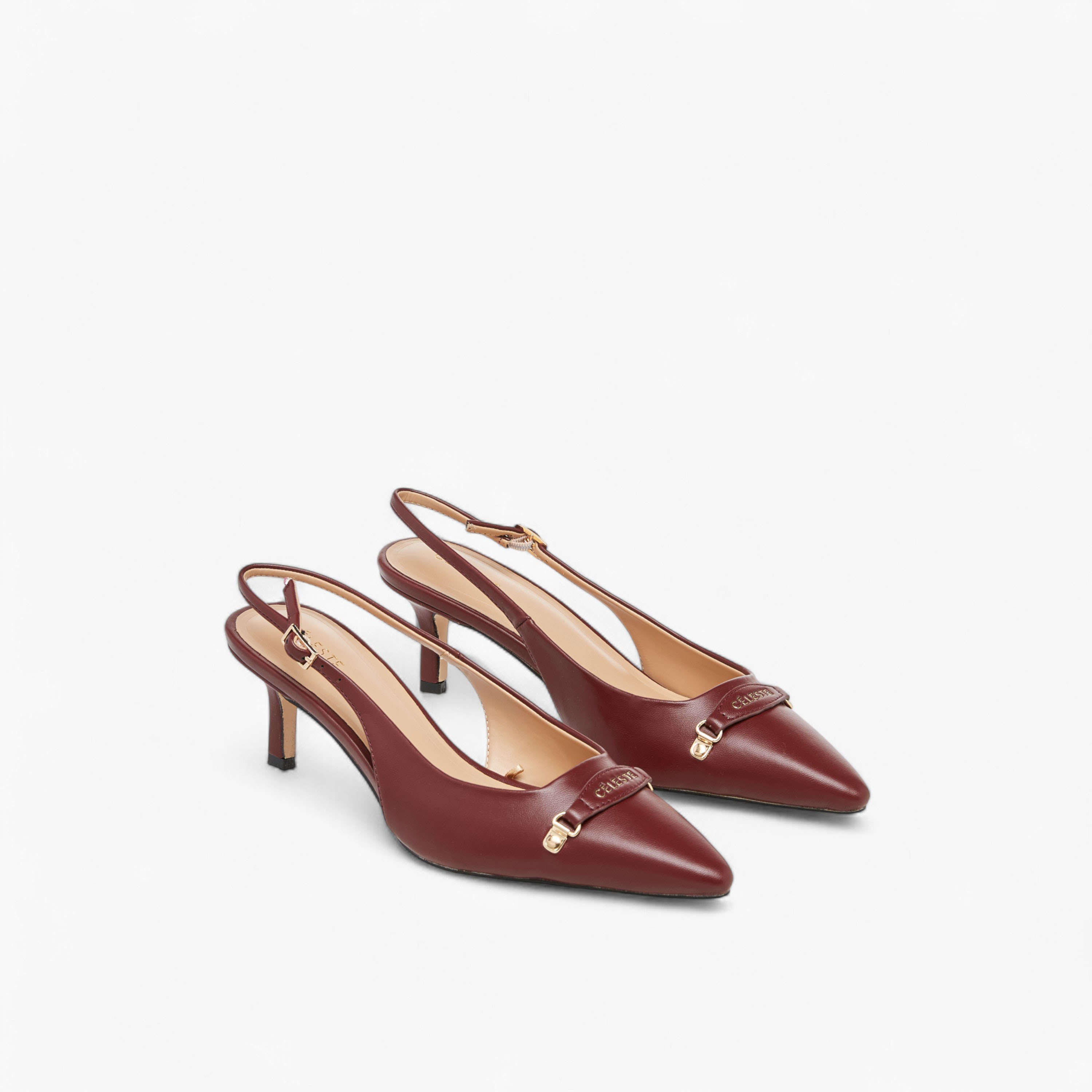 Celeste Women's Pointed Toe Shoes with Stiletto Heels-women-shoes-heels-image-1
