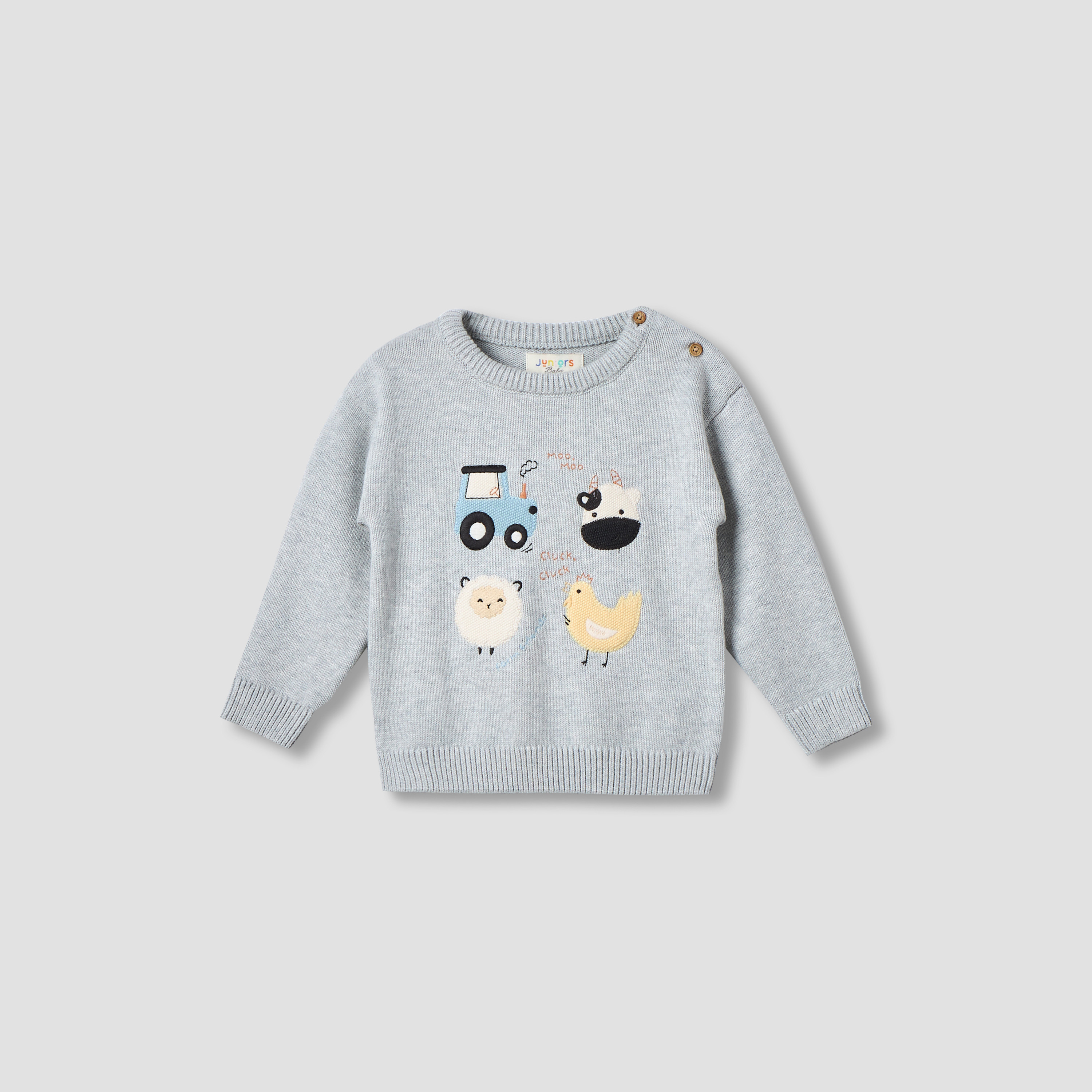 Juniors Embroidered Pullover with Long Sleeves-baby-boys-clothing-jumpersandcardigans-image-1