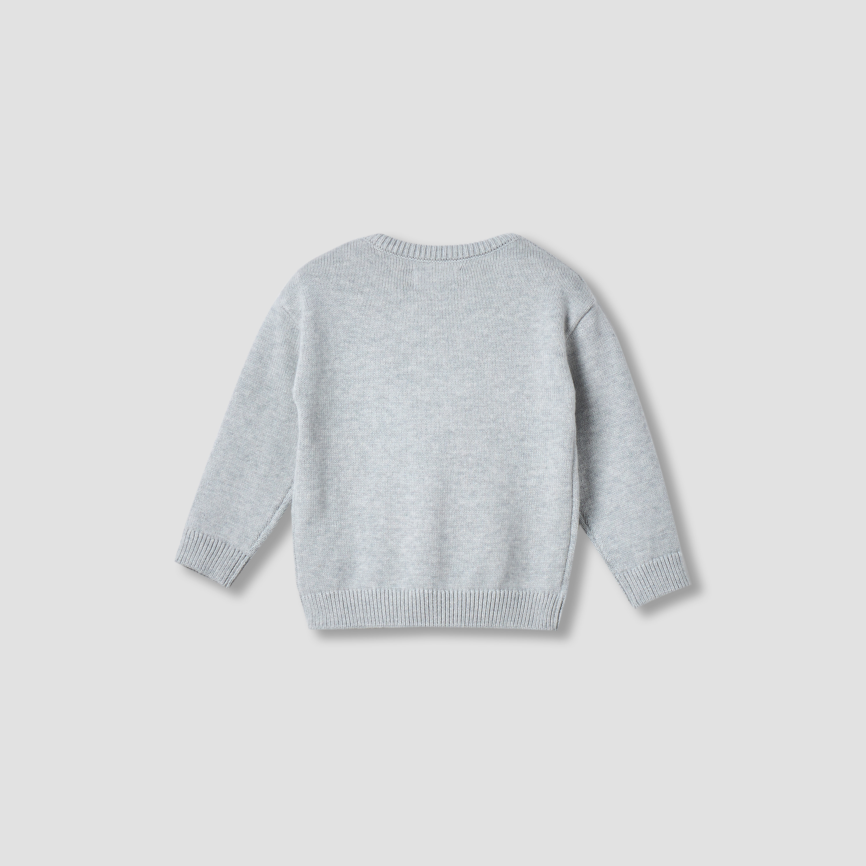 Juniors Embroidered Pullover with Long Sleeves-baby-boys-clothing-jumpersandcardigans-image-2