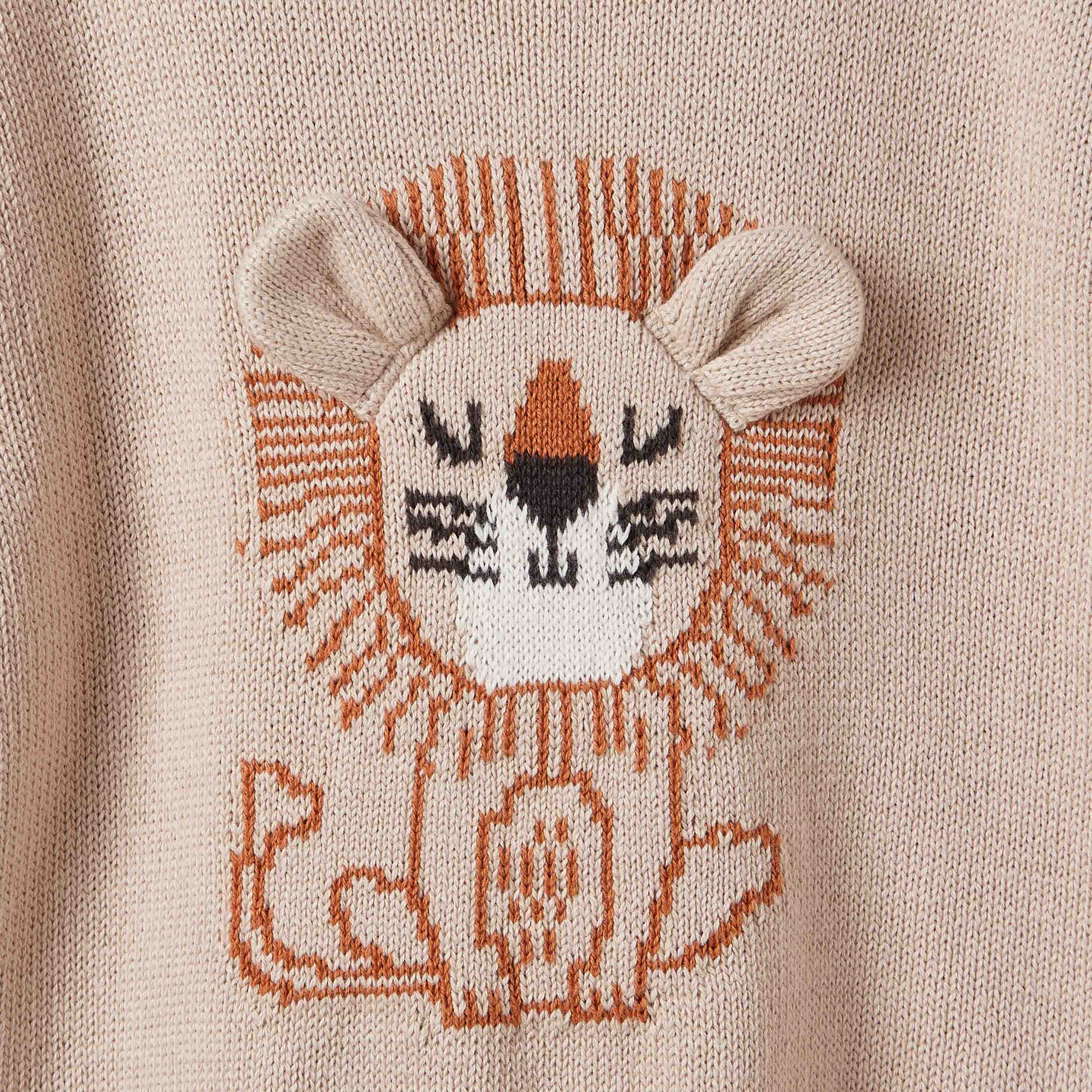 Juniors Lion Motif Sweater and Joggers Set-baby-boys-clothing-winterwear-setsandcoords-image-4