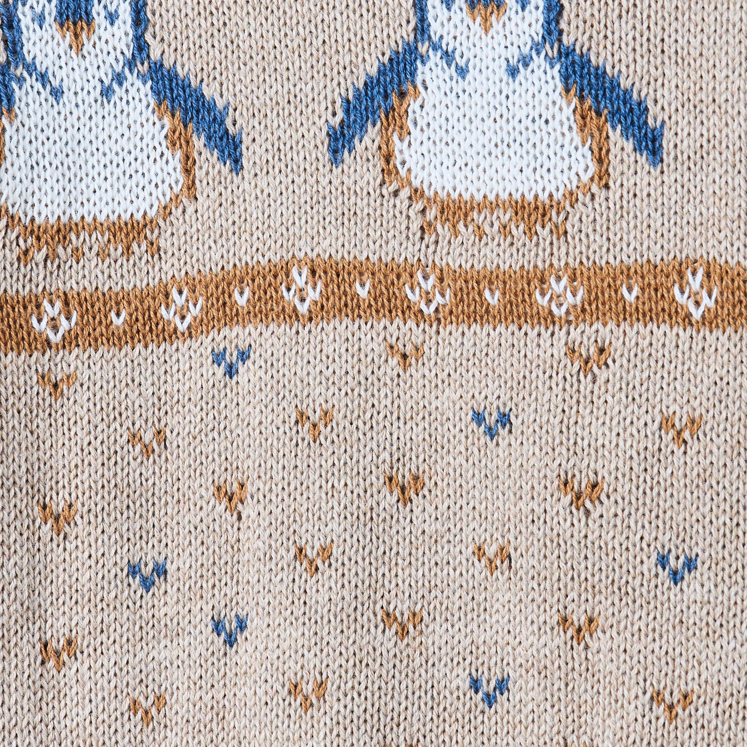 Giggles Textured Pullover with Long Sleeves-baby-boys-clothing-jumpersandcardigans-image-6