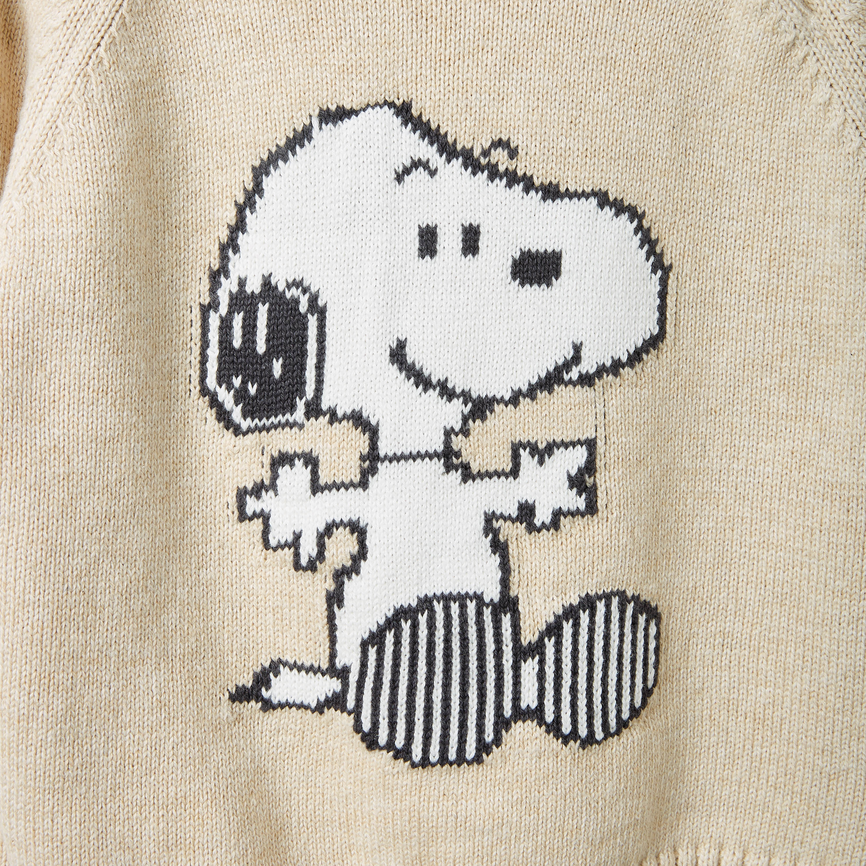 Snoopy Print Sweater and Pants Set-baby-boys-clothing-winterwear-setsandcoords-image-6