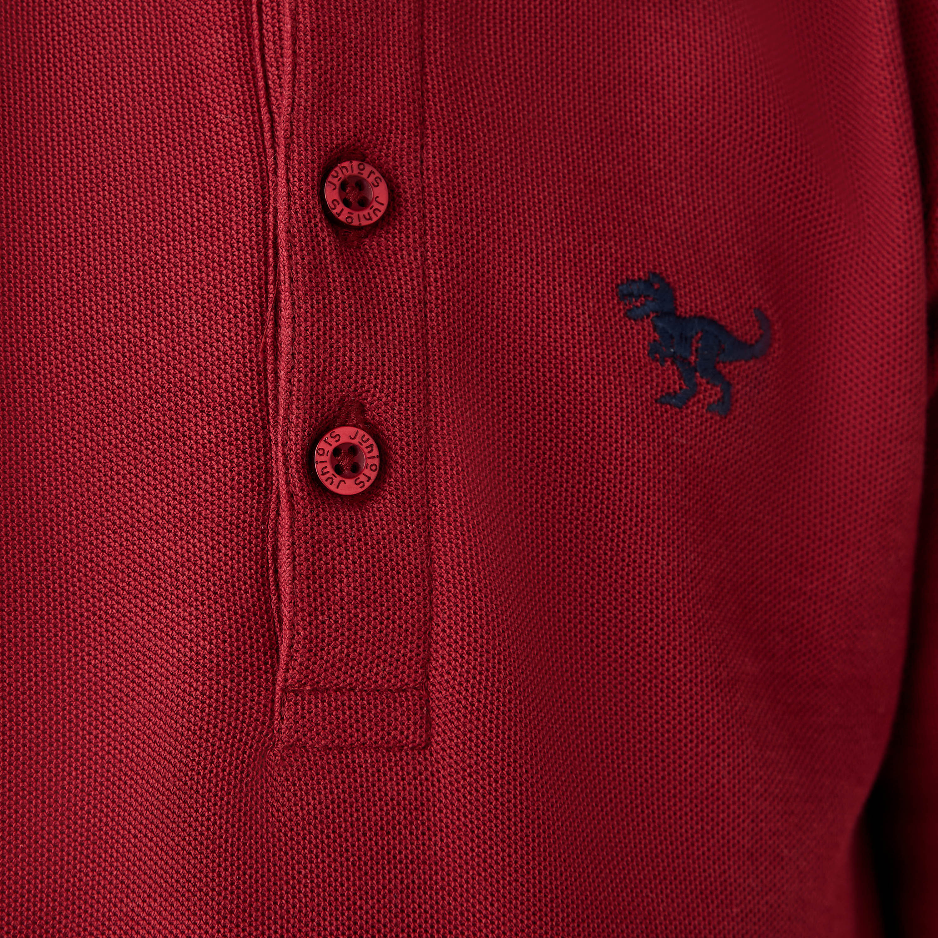 Juniors Dinosaur Embroidered Polo T-shirt with Long Sleeves-boys-clothing-tshirtsandpolos-image-5