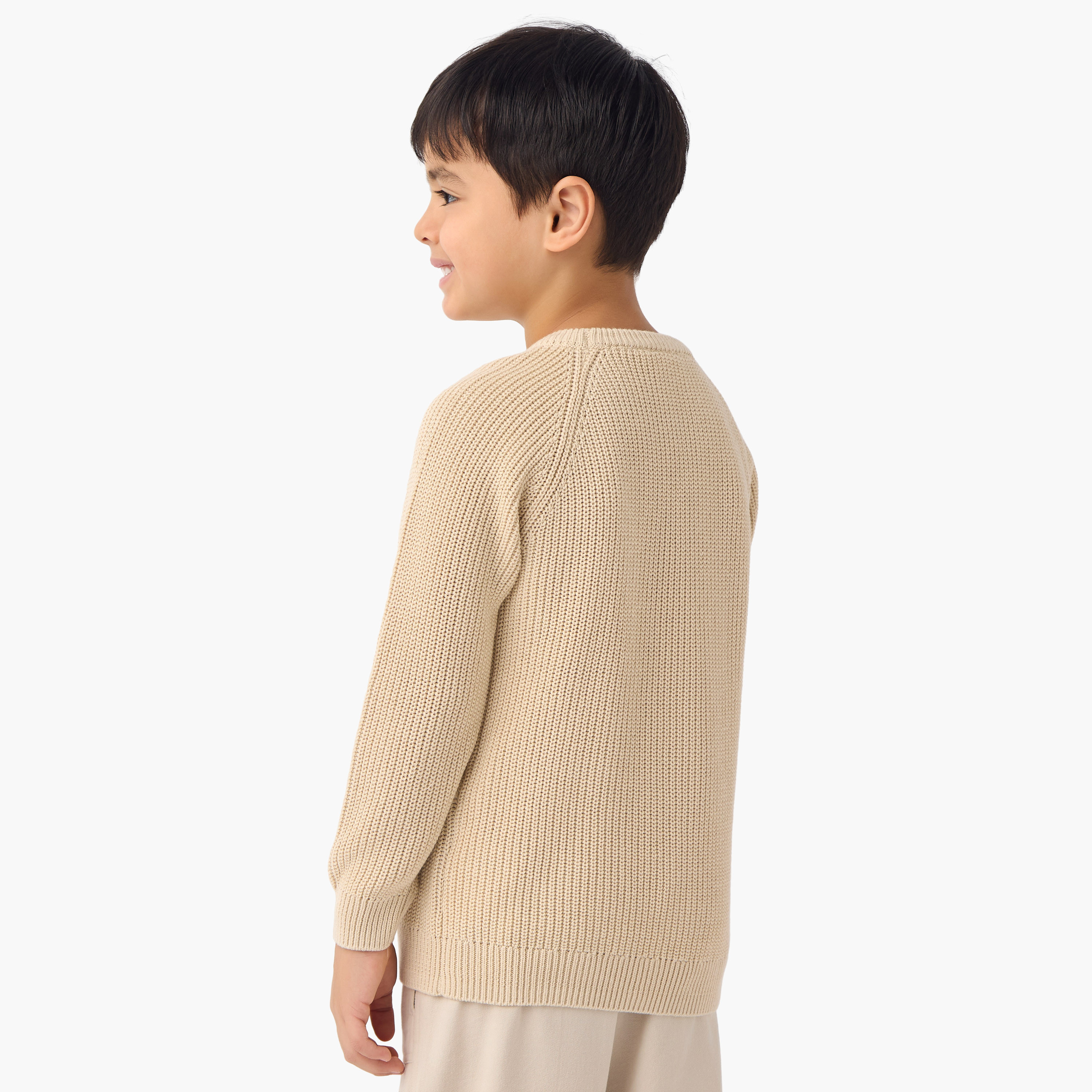Juniors Textured Pullover with Crew Neck and Long Sleeves-baby-boys-clothing-jumpersandcardigans-image-3