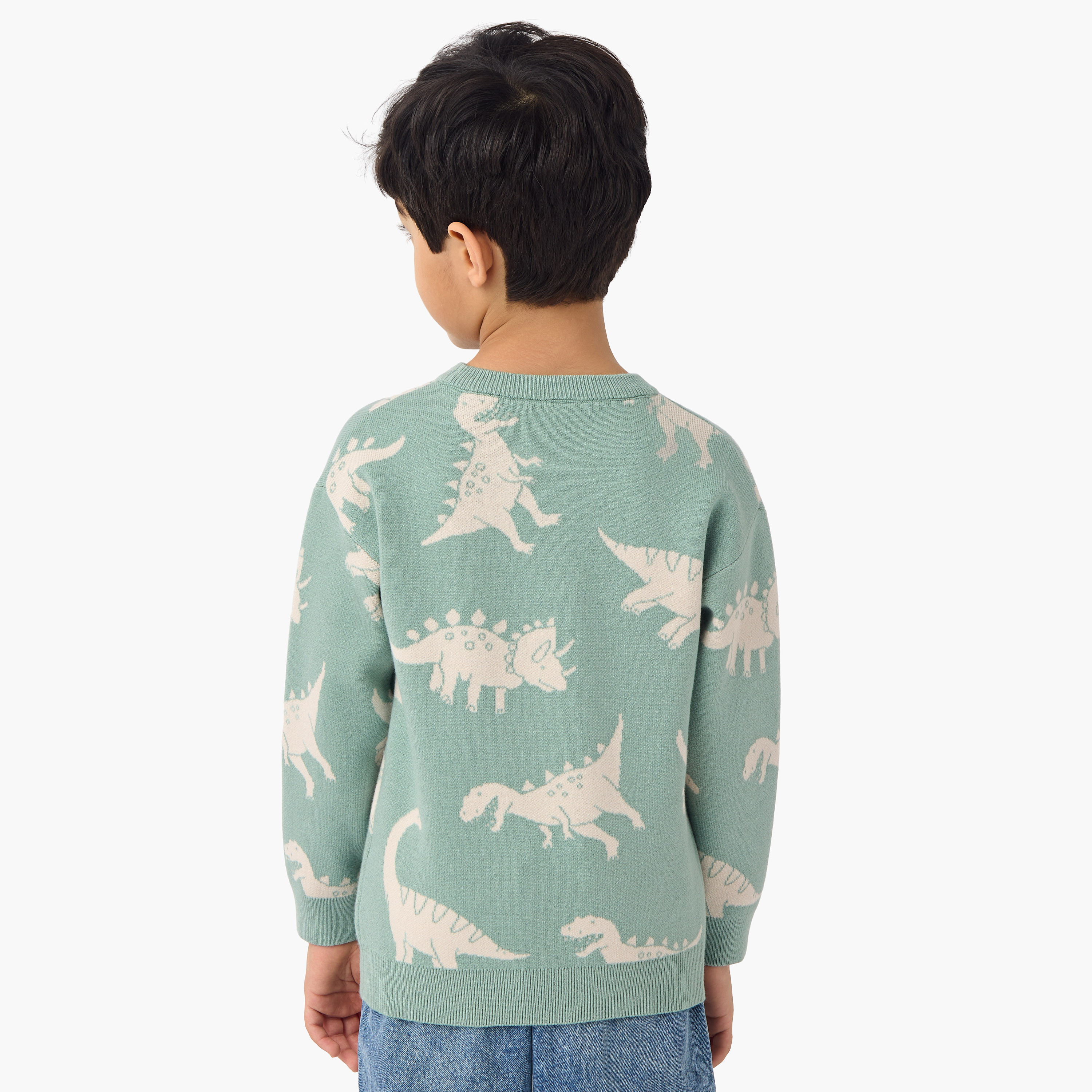 Juniors Dinosaur Print Pullover with Crew Neck and Long Sleeves-baby-boys-clothing-jumpersandcardigans-image-3