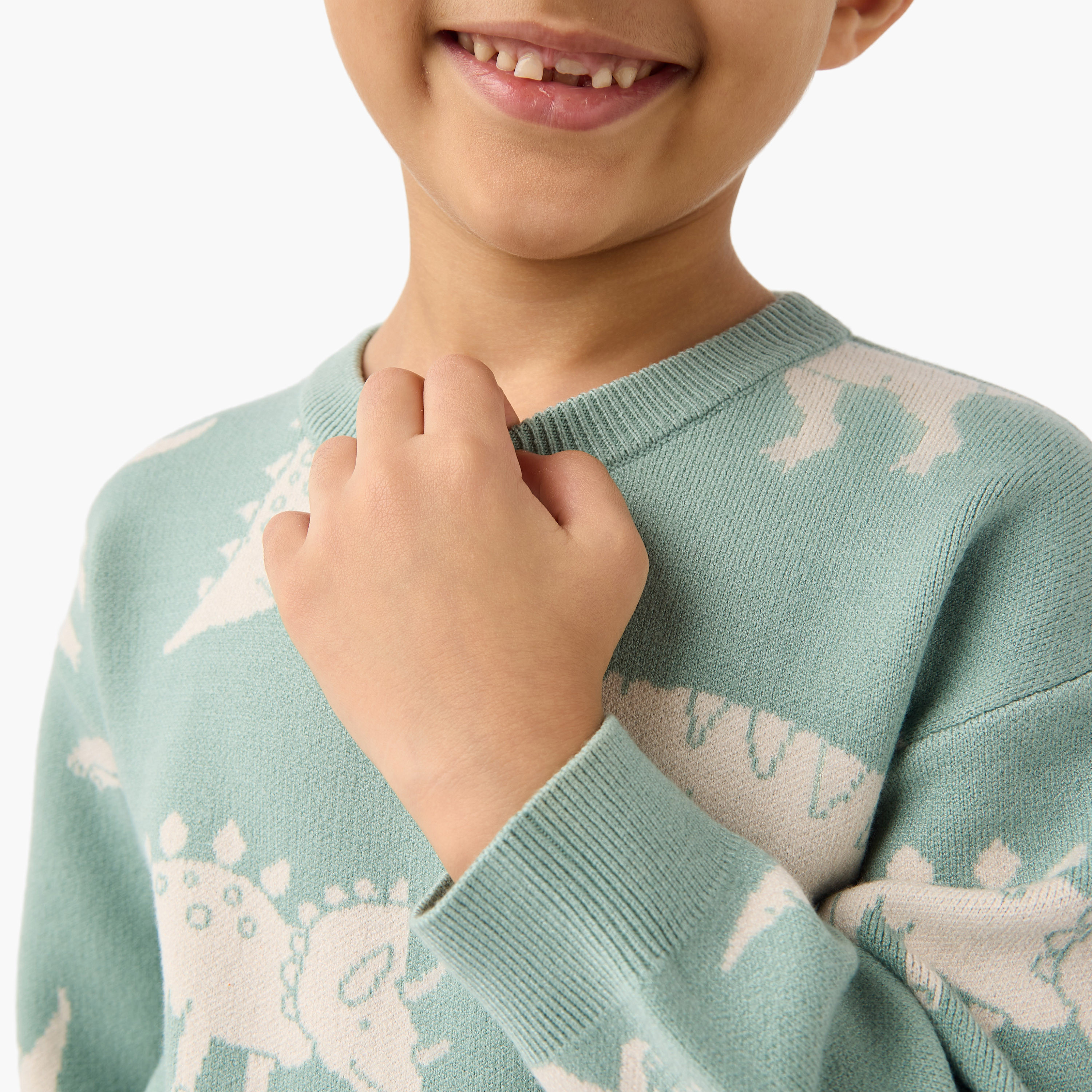 Juniors Dinosaur Print Pullover with Crew Neck and Long Sleeves-baby-boys-clothing-jumpersandcardigans-image-4