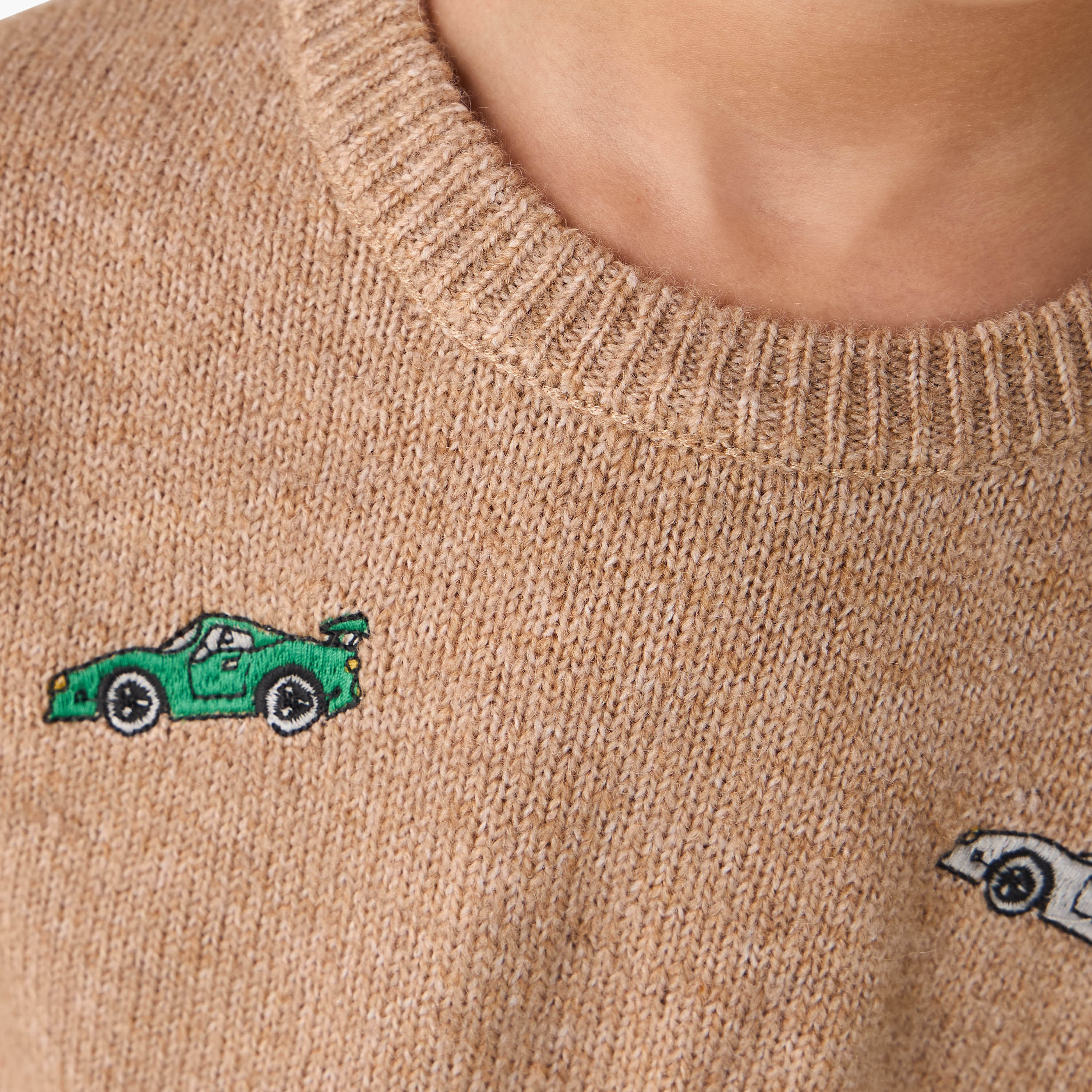 Juniors Embroidered Pullover with Long Sleeves-baby-boys-clothing-jumpersandcardigans-image-5