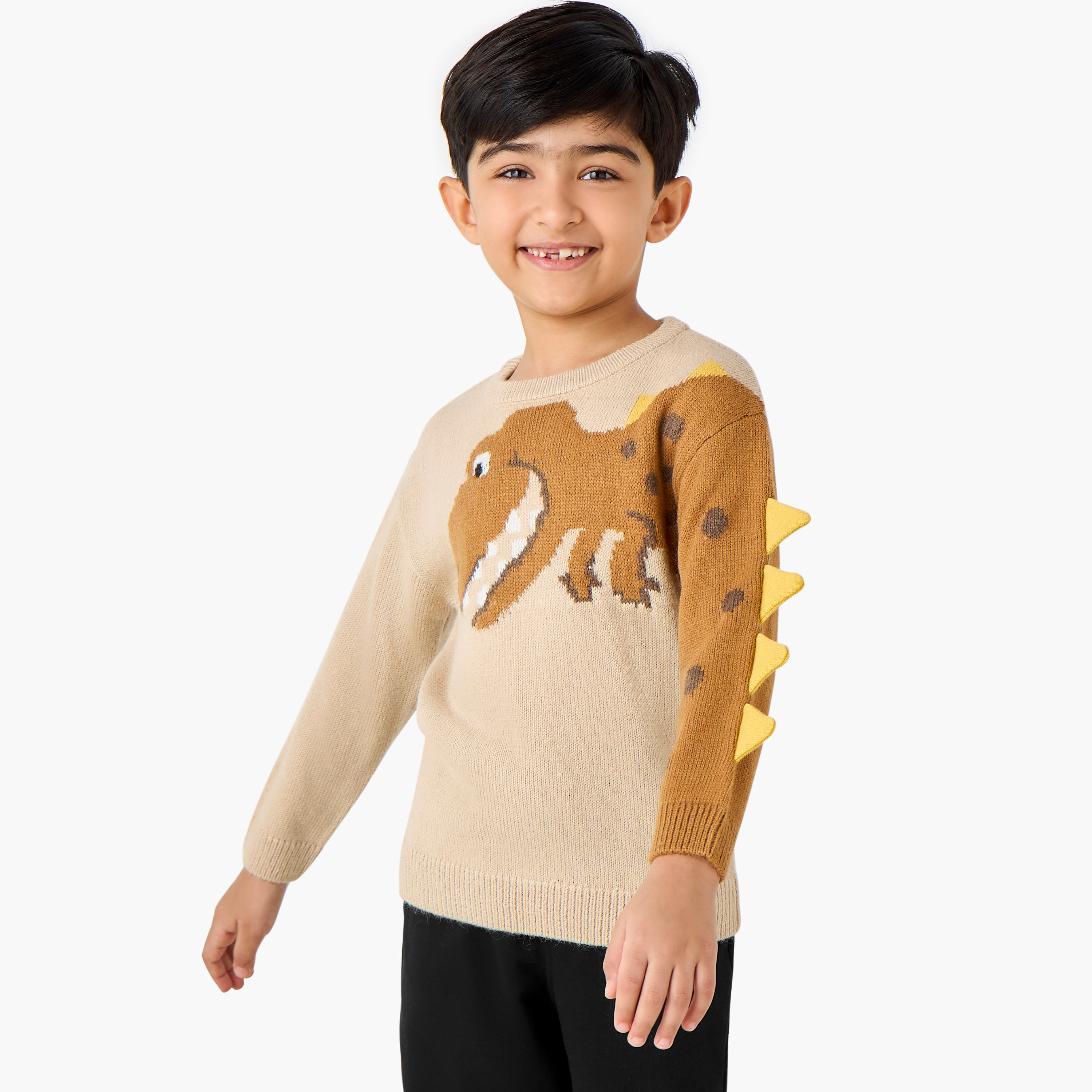Juniors Dinosaur Graphic Pullover with Long Sleeves-baby-boys-clothing-jumpersandcardigans-image-1