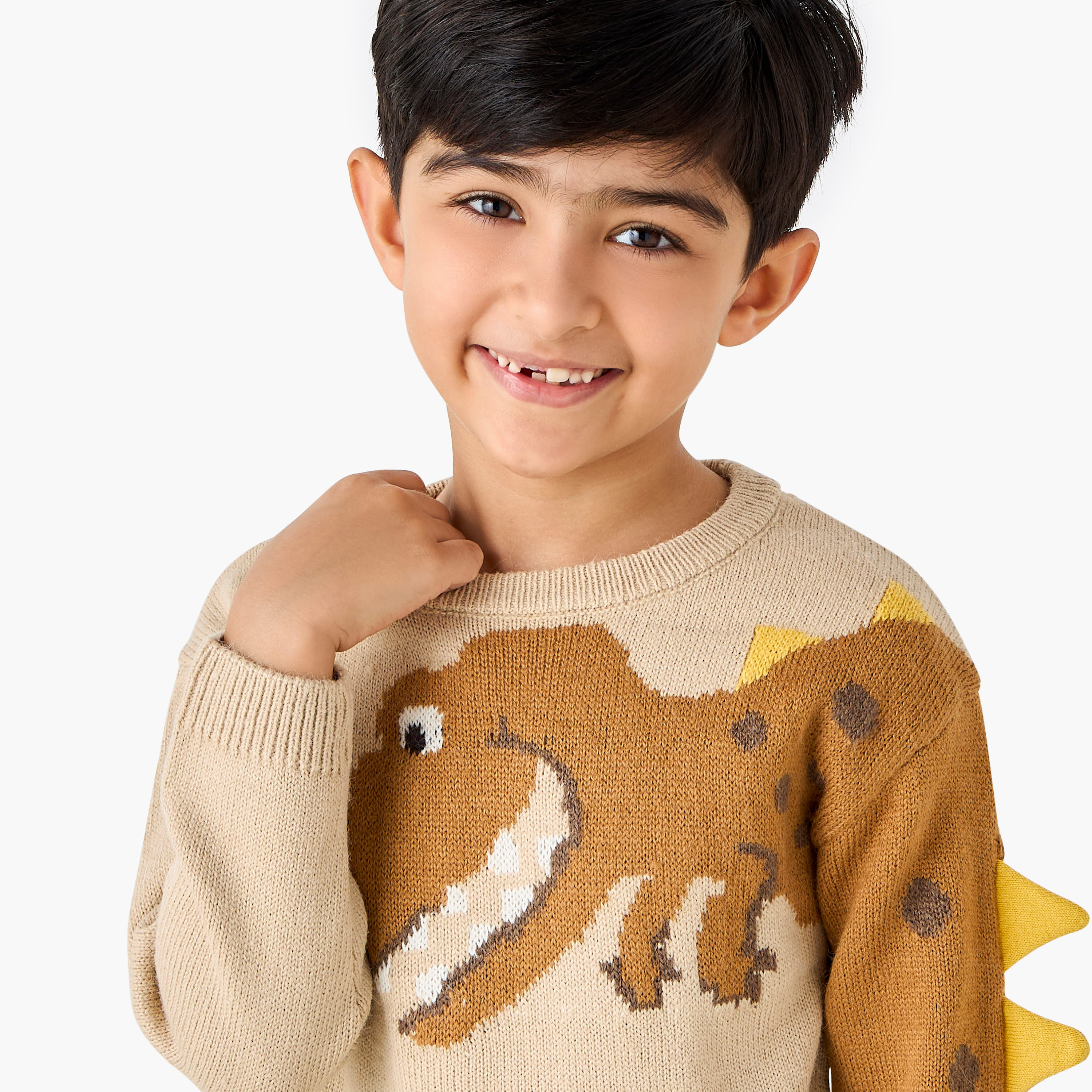 Juniors Dinosaur Graphic Pullover with Long Sleeves-baby-boys-clothing-jumpersandcardigans-image-4