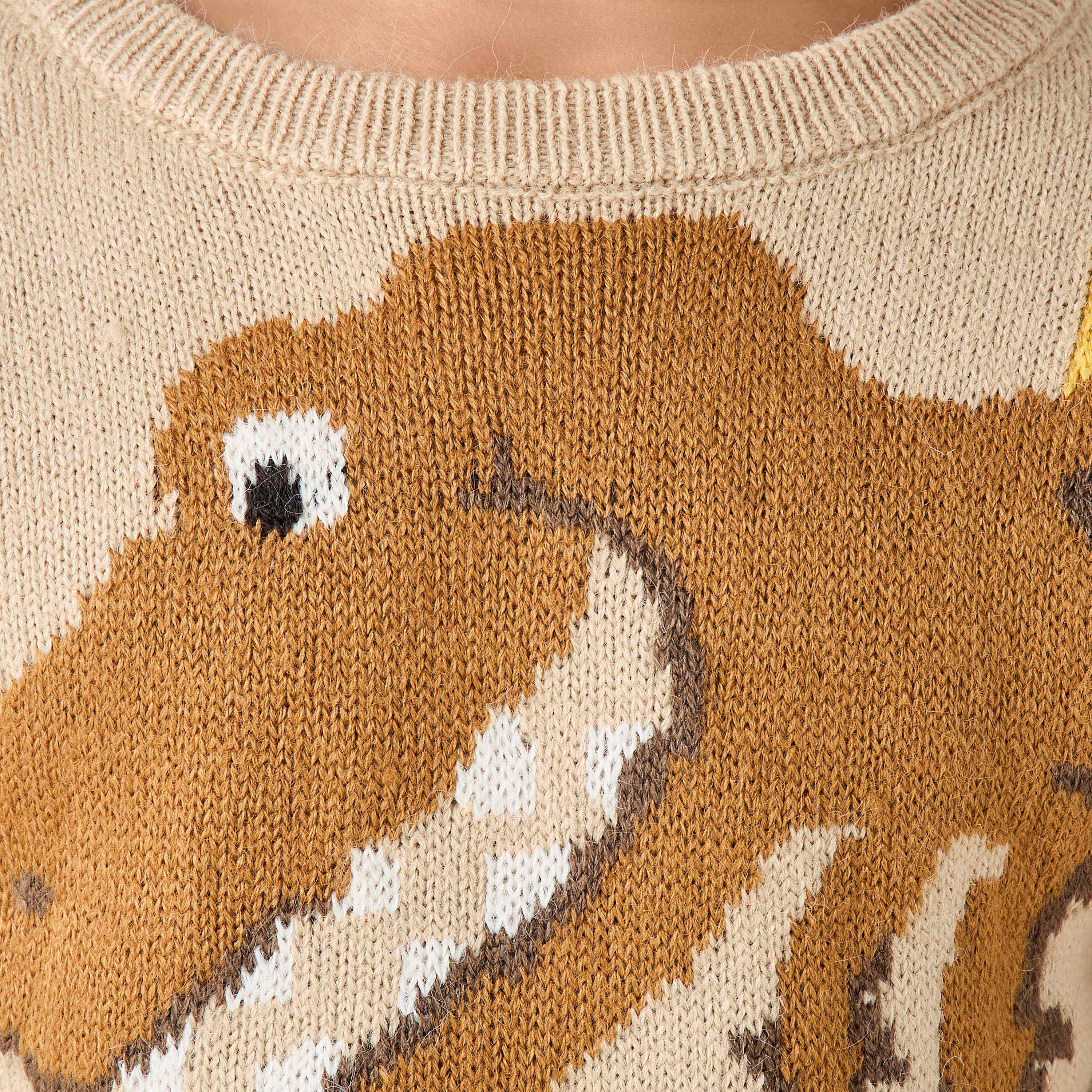 Juniors Dinosaur Graphic Pullover with Long Sleeves-baby-boys-clothing-jumpersandcardigans-image-6