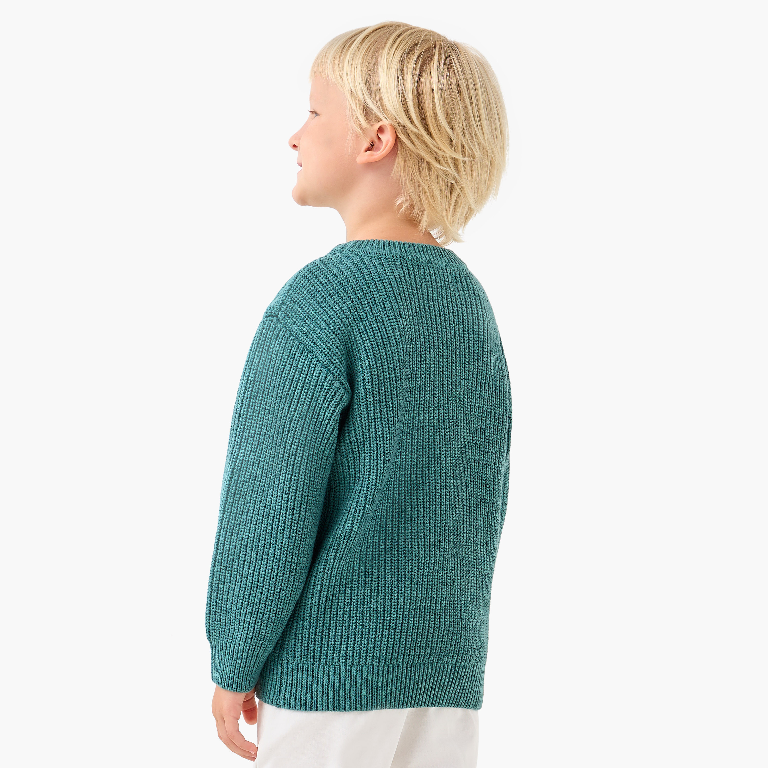 Juniors Forest Embroidered Knitted Sweater with Long Sleeves-baby-boys-clothing-jumpersandcardigans-image-3