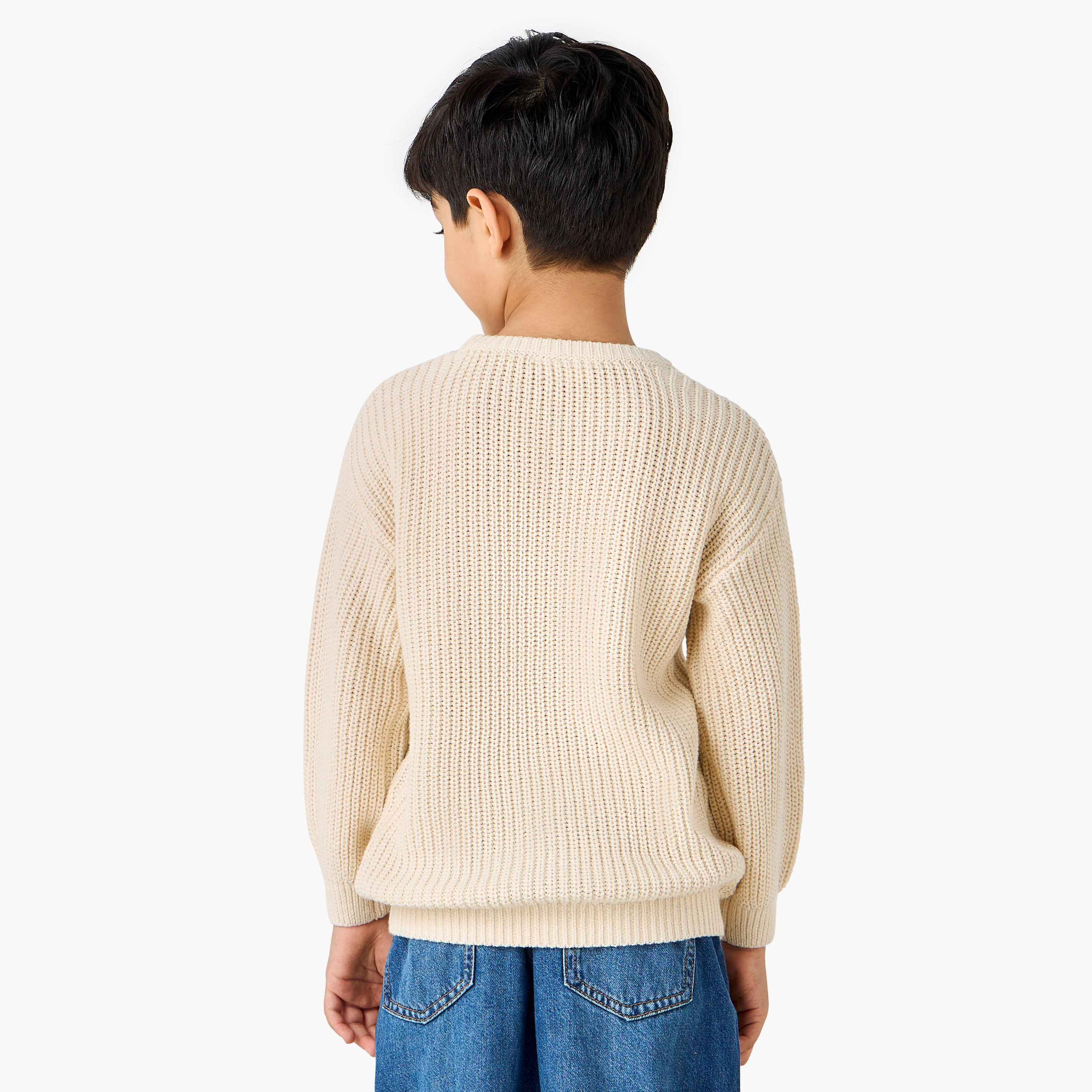 Juniors Animal Applique Pullover with Crew Neck-baby-boys-clothing-jumpersandcardigans-image-3