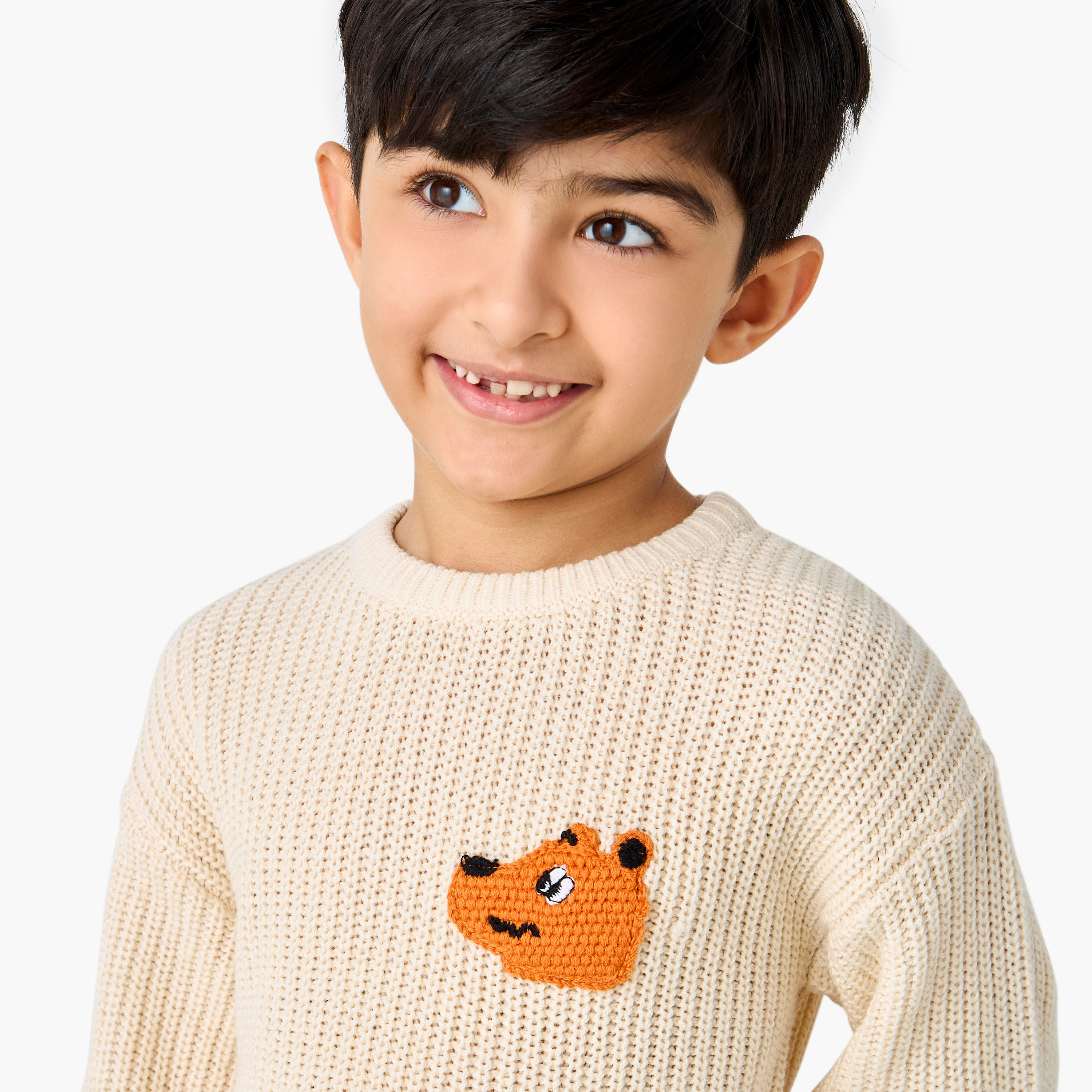 Juniors Animal Applique Pullover with Crew Neck-baby-boys-clothing-jumpersandcardigans-image-4