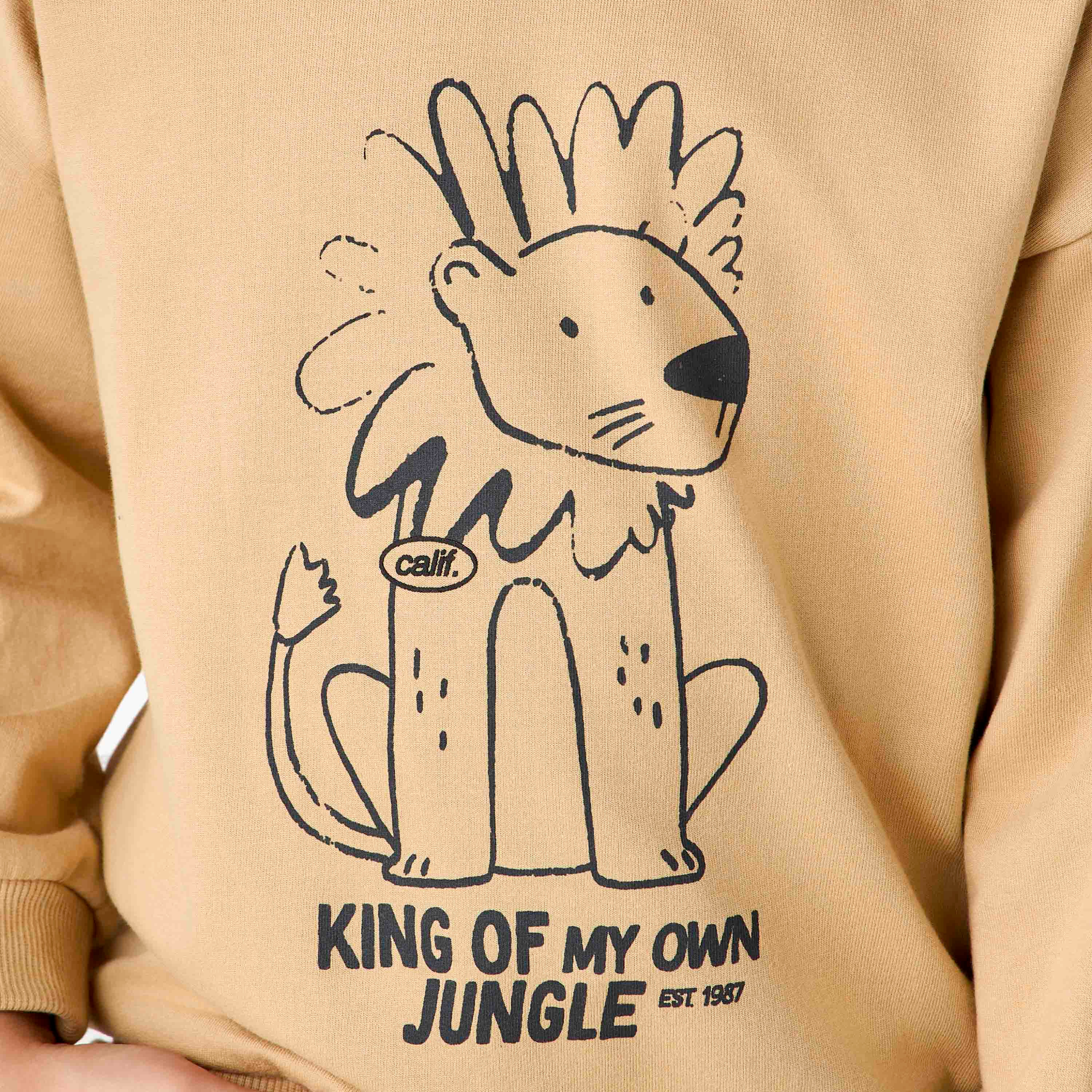 Juniors Lion Print Sweatshirt with Long Sleeves-boys-clothing-sweatshirts-image-4