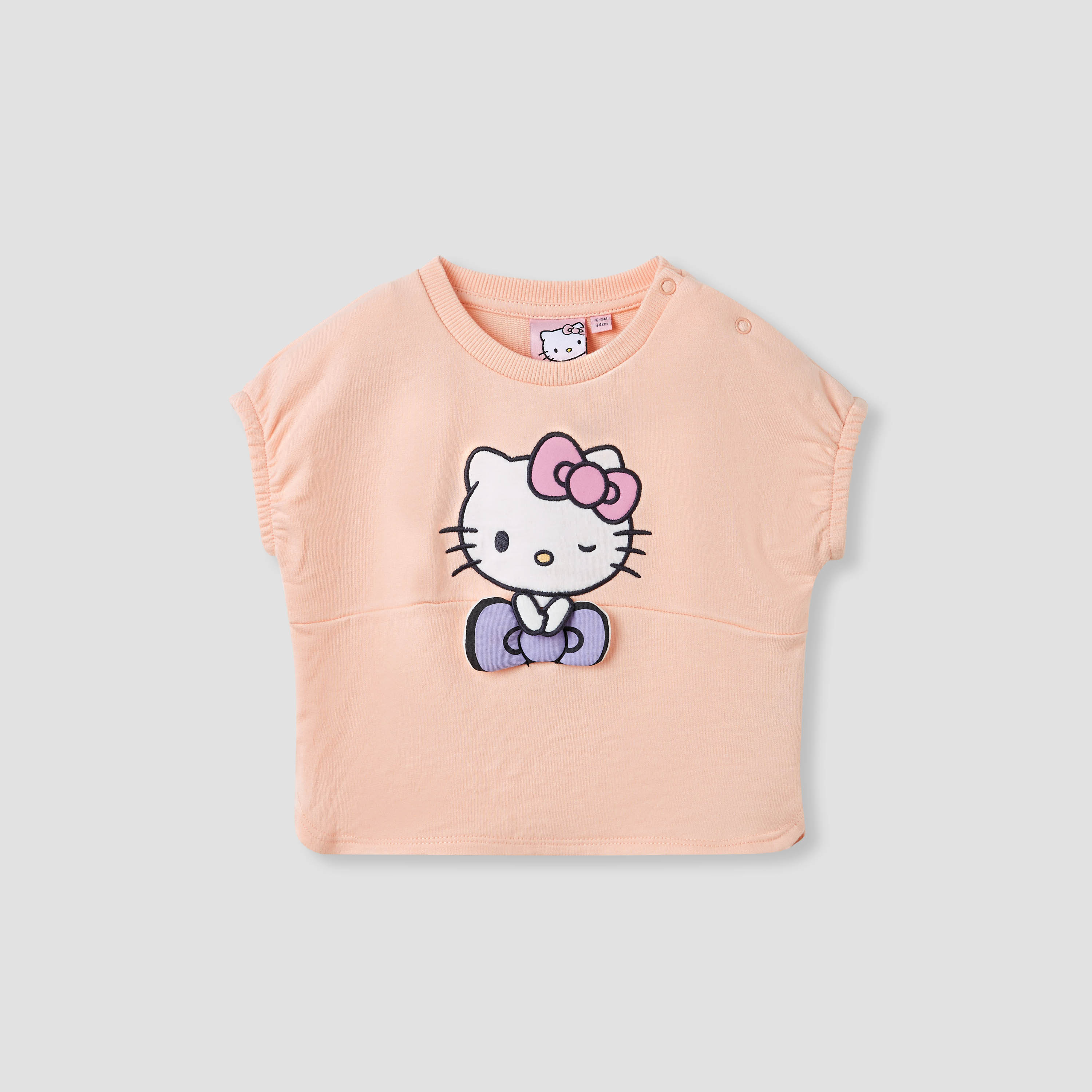 Sanrio Hello Kitty Print T-shirt and Shorts Set-baby-girls-clothing-setsandcoords-image-2