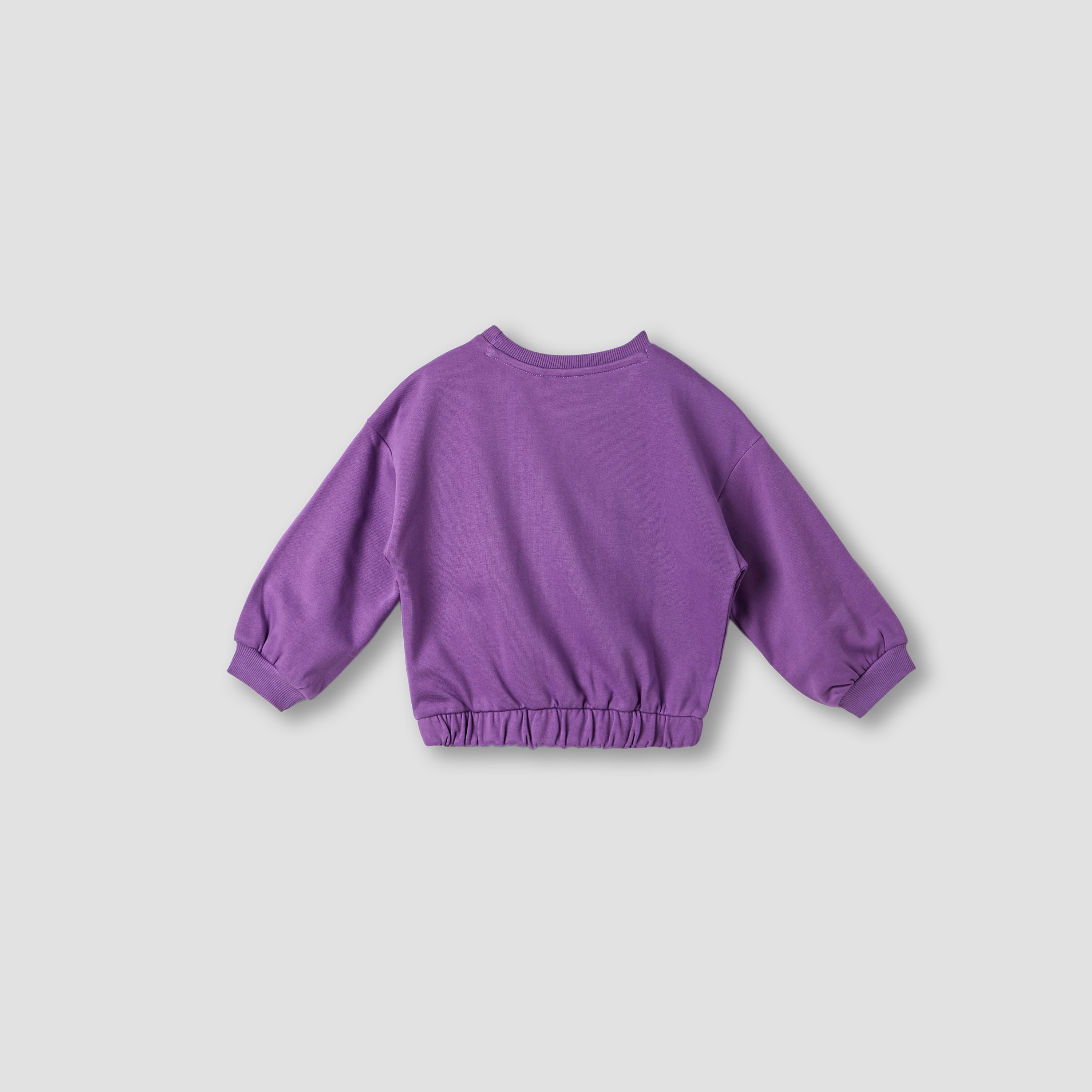 Juniors Round Neck Sweatshirt with Long Sleeves-baby-girls-clothing-sweatshirts-image-2