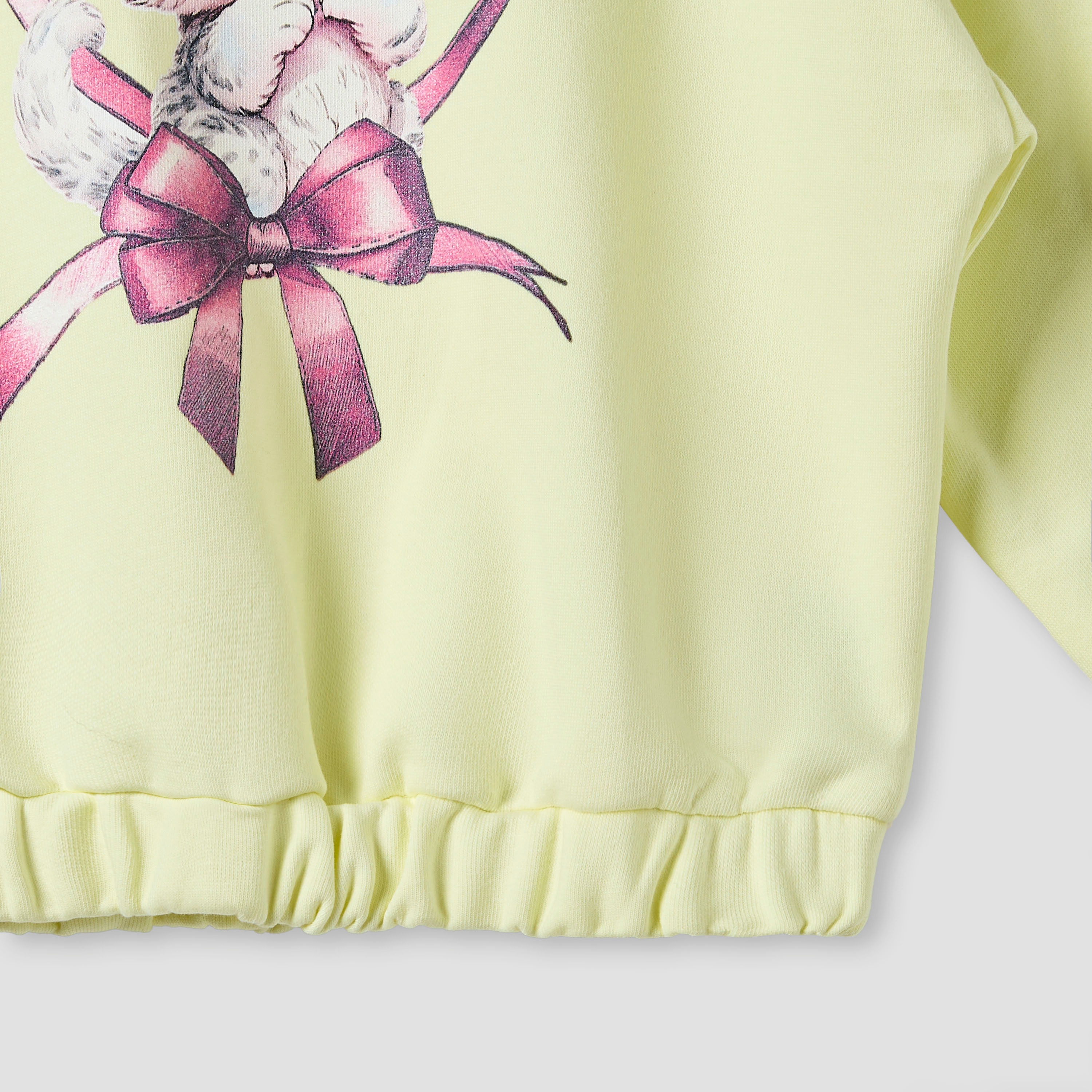 Juniors Round Neck Sweatshirt with Long Sleeves-baby-girls-clothing-sweatshirts-image-4