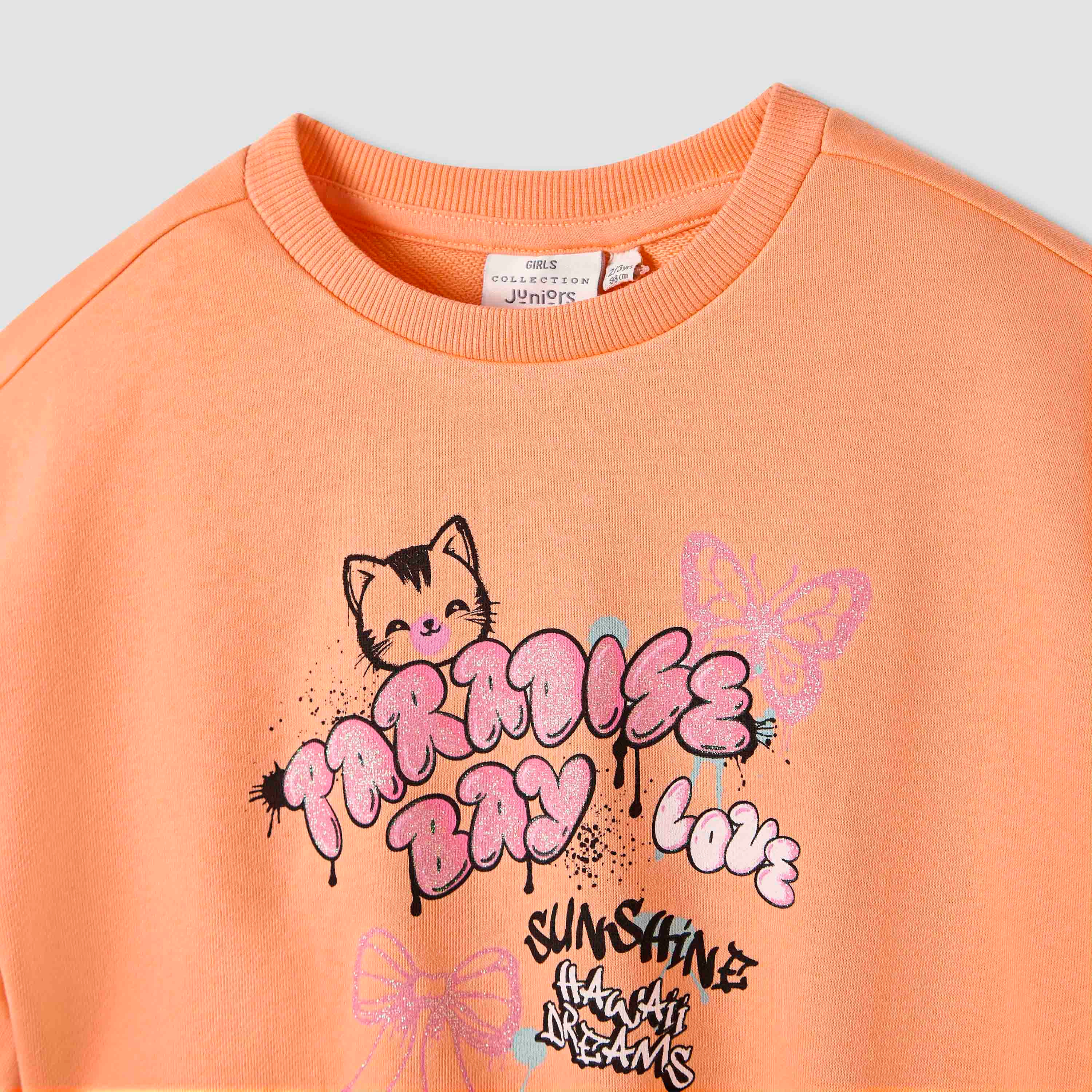 Juniors Round Neck Sweatshirt with Long Sleeves-baby-girls-clothing-sweatshirts-image-3