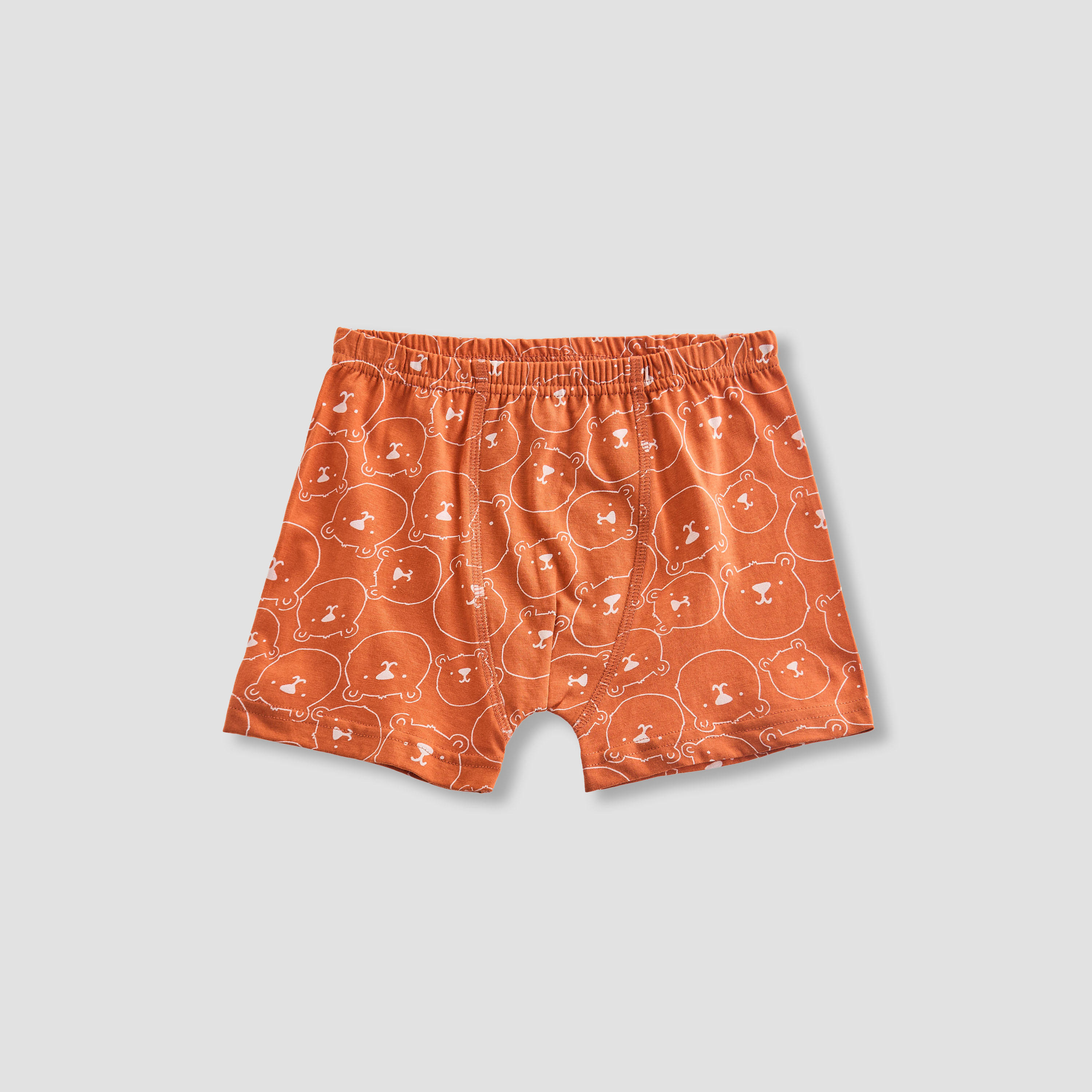 Juniors Boys Boxer Briefs with Print - Cotton - Set of 5-baby-boys-clothing-innerwear-image-4