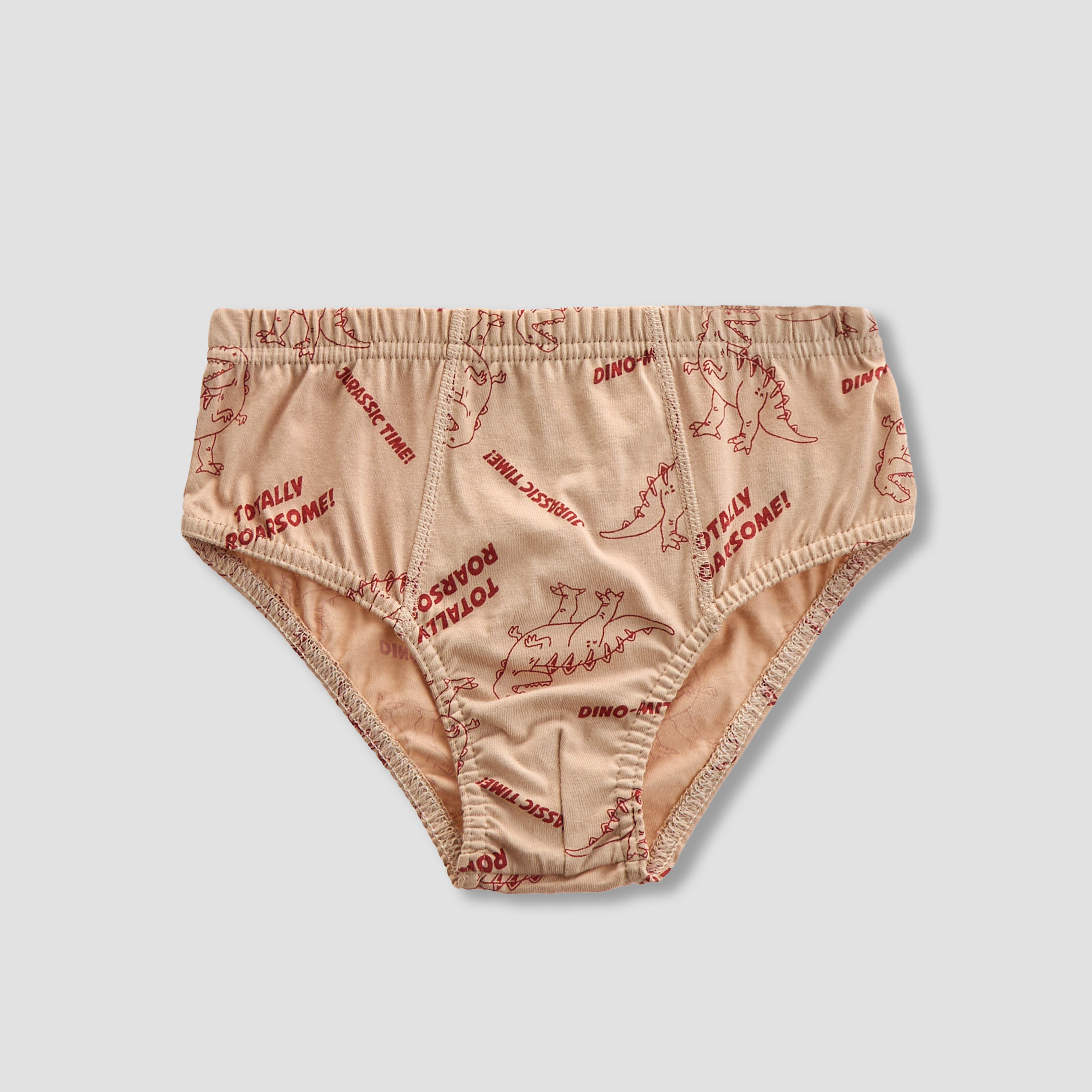 Juniors Boys Briefs with Dinosaur Print - 5-Piece Set-boys-clothing-innerwear-boxersandbriefs-image-2