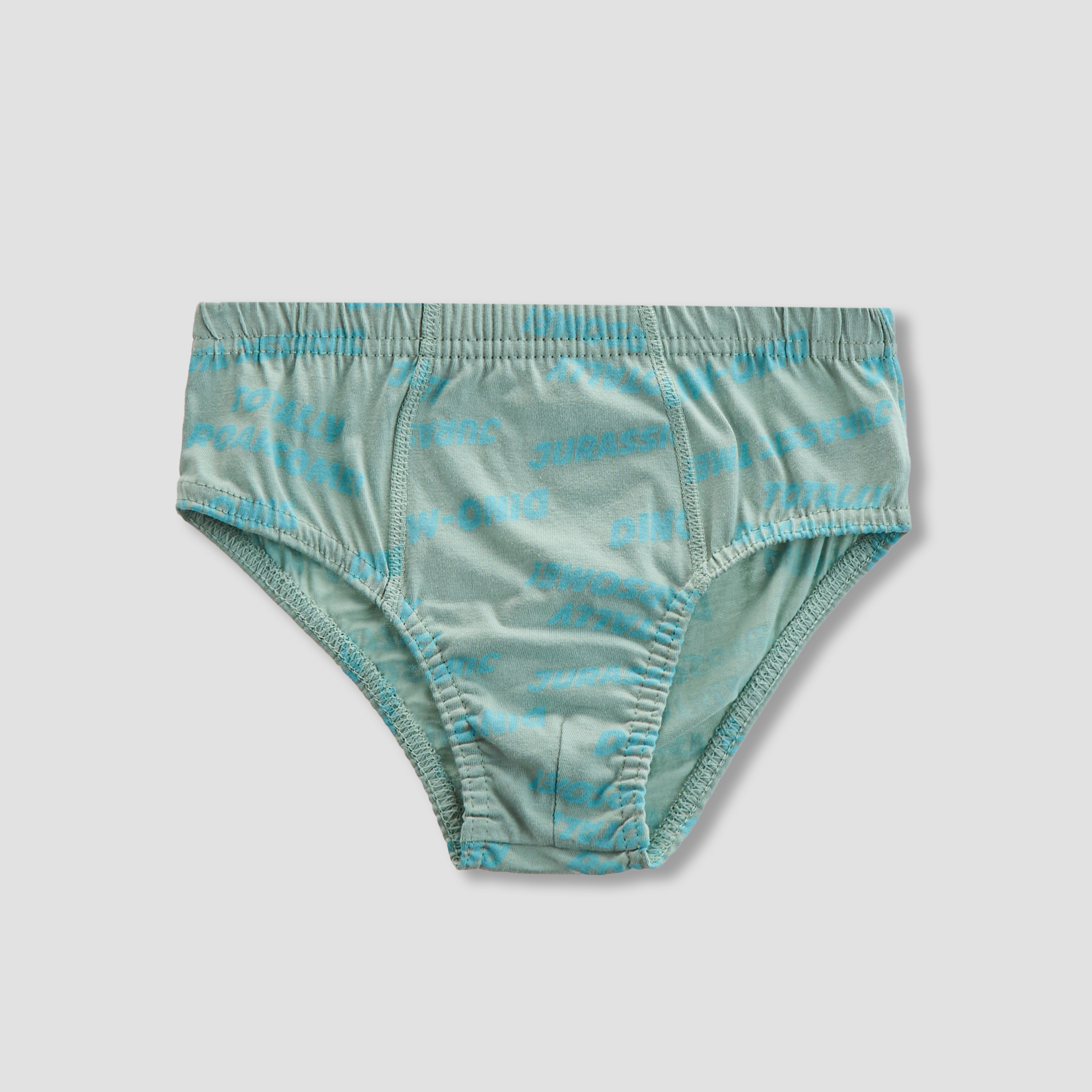 Juniors Boys Briefs with Dinosaur Print - 5-Piece Set-boys-clothing-innerwear-boxersandbriefs-image-4