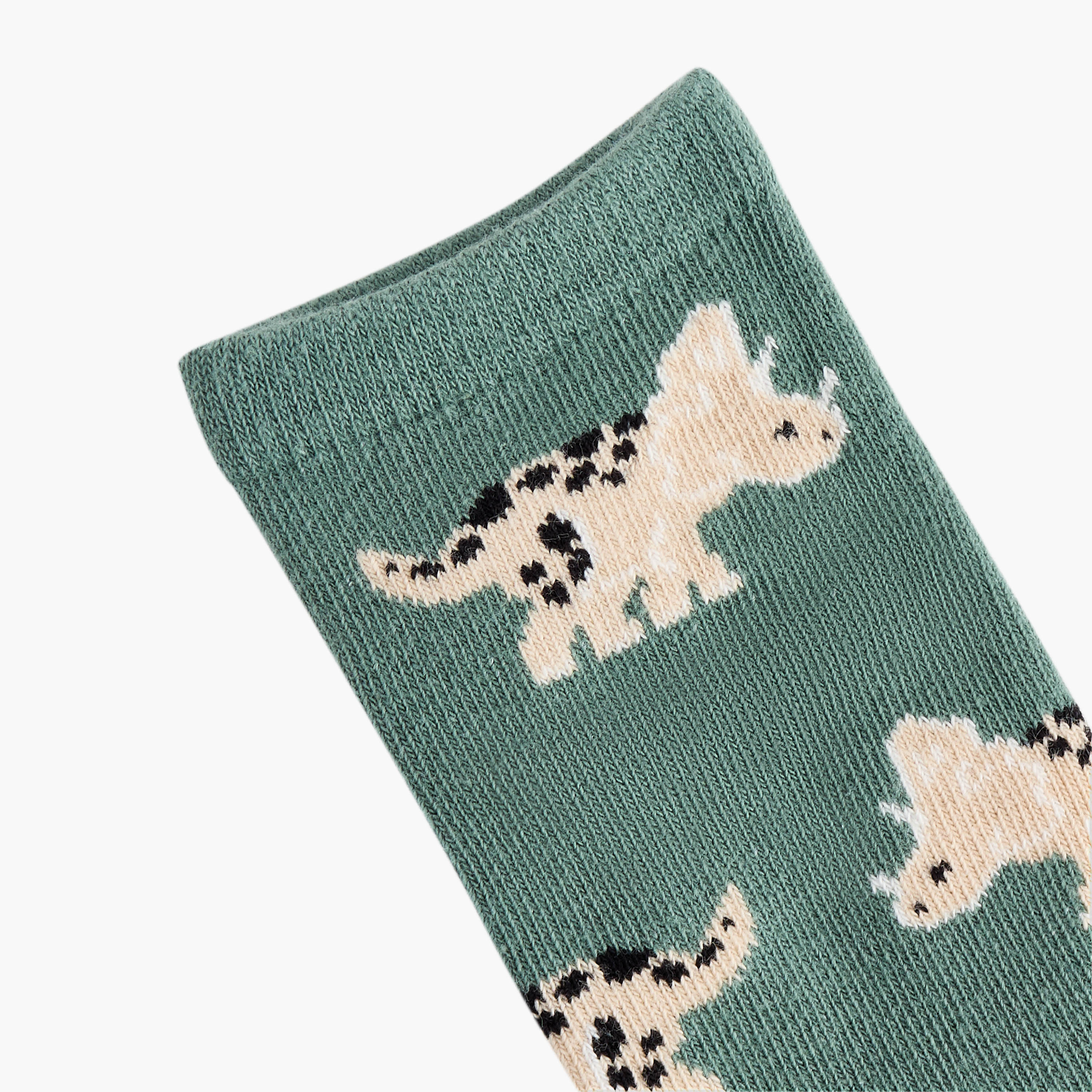 Juniors Dinosaur Print Ankle Length Socks - Set of 7-baby-boys-accessories-socks-image-5