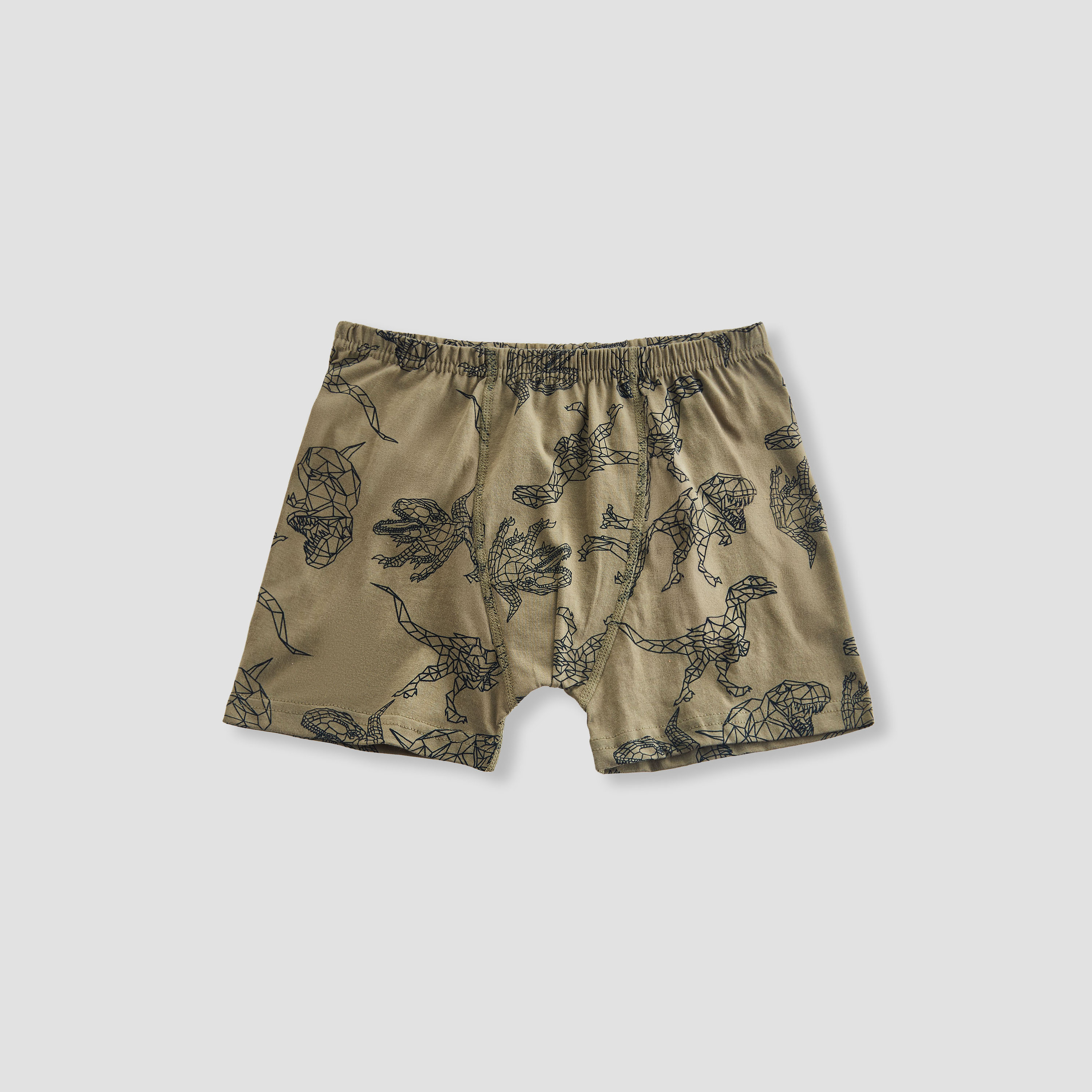 Pack of 5 Juniors Cotton Boxer Briefs with Dinosaur Print-boys-clothing-innerwear-boxersandbriefs-image-2