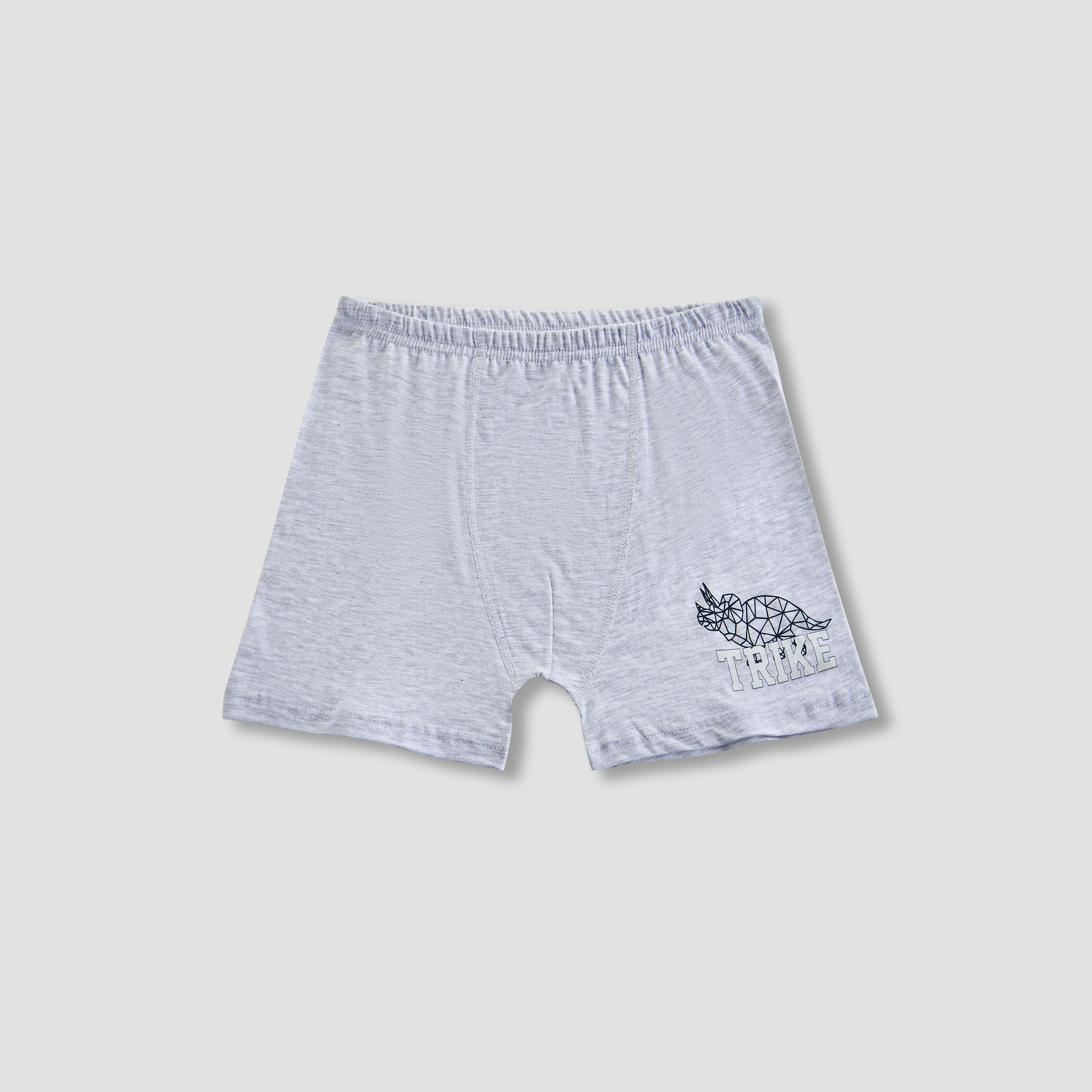 Pack of 5 Juniors Cotton Boxer Briefs with Dinosaur Print-boys-clothing-innerwear-boxersandbriefs-image-3