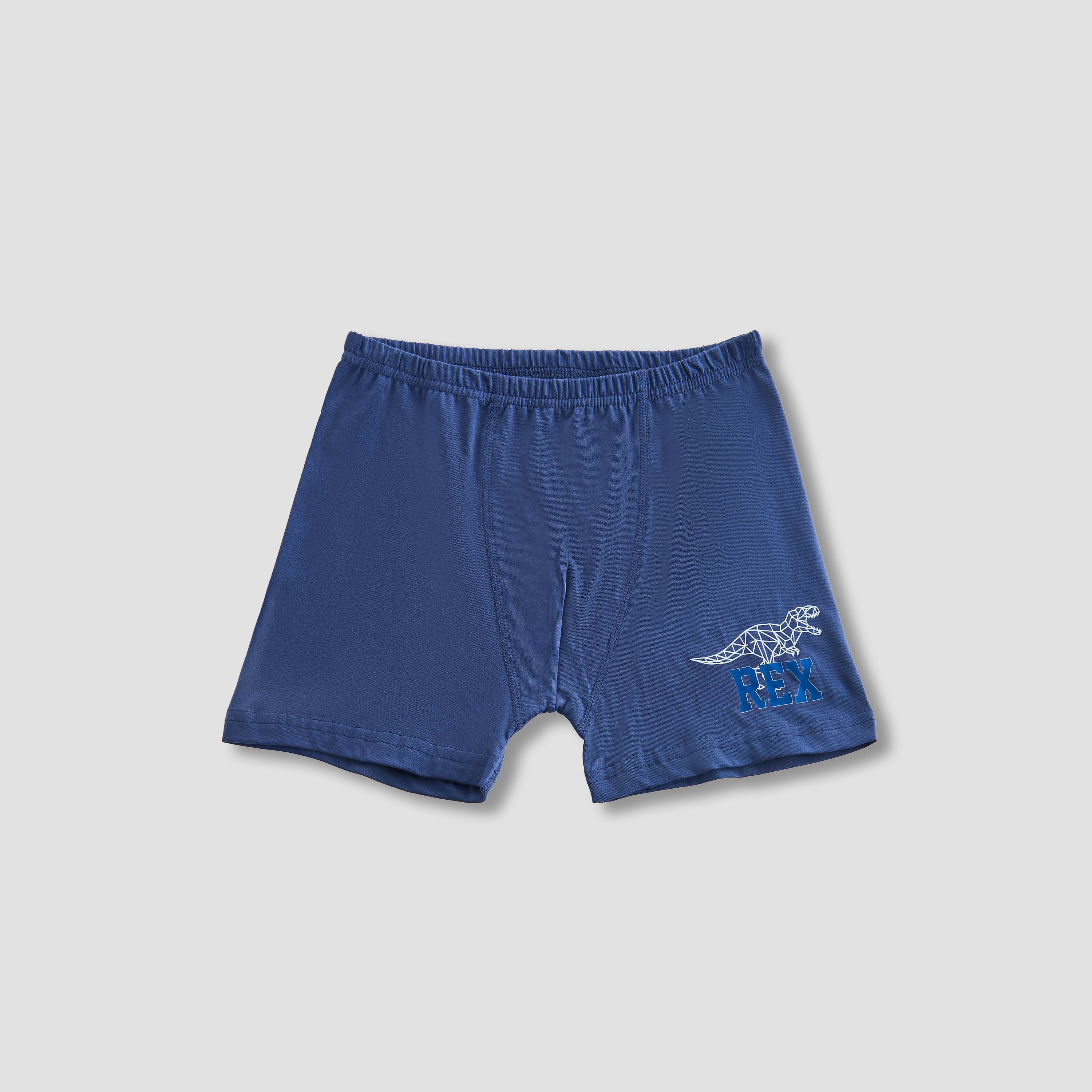 Pack of 5 Juniors Cotton Boxer Briefs with Dinosaur Print-boys-clothing-innerwear-boxersandbriefs-image-5