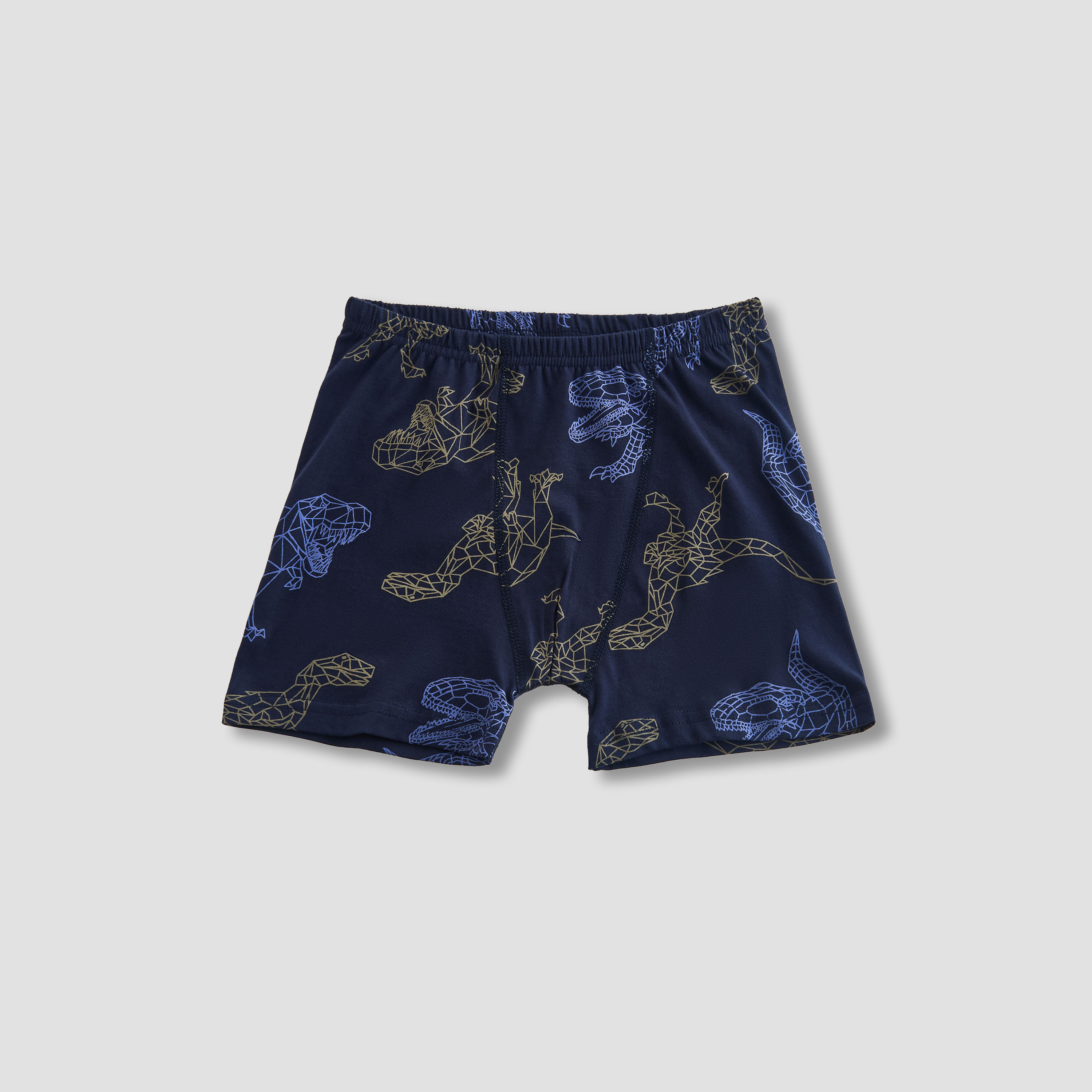 Pack of 5 Juniors Cotton Boxer Briefs with Dinosaur Print-boys-clothing-innerwear-boxersandbriefs-image-6