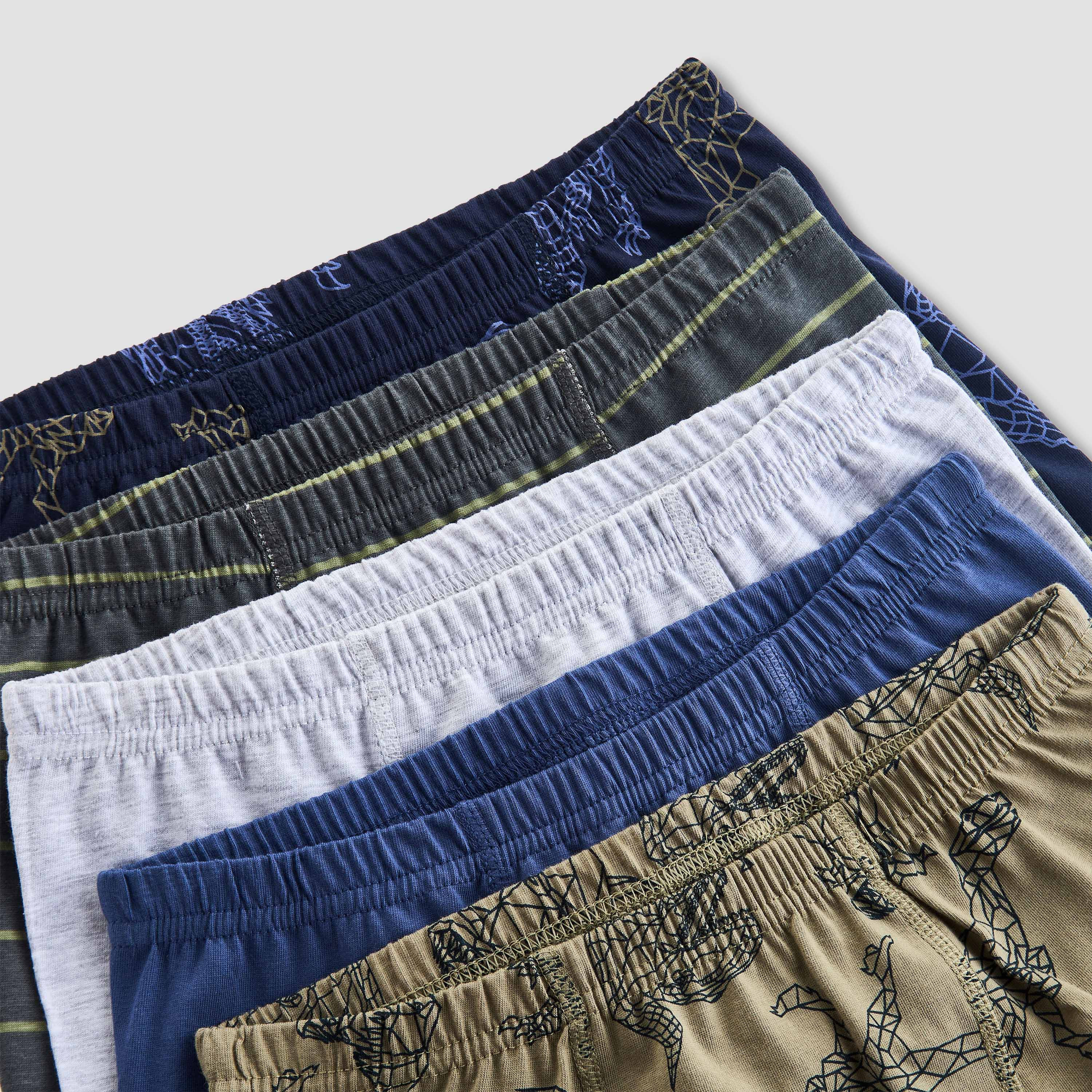 Pack of 5 Juniors Cotton Boxer Briefs with Dinosaur Print-boys-clothing-innerwear-boxersandbriefs-image-7
