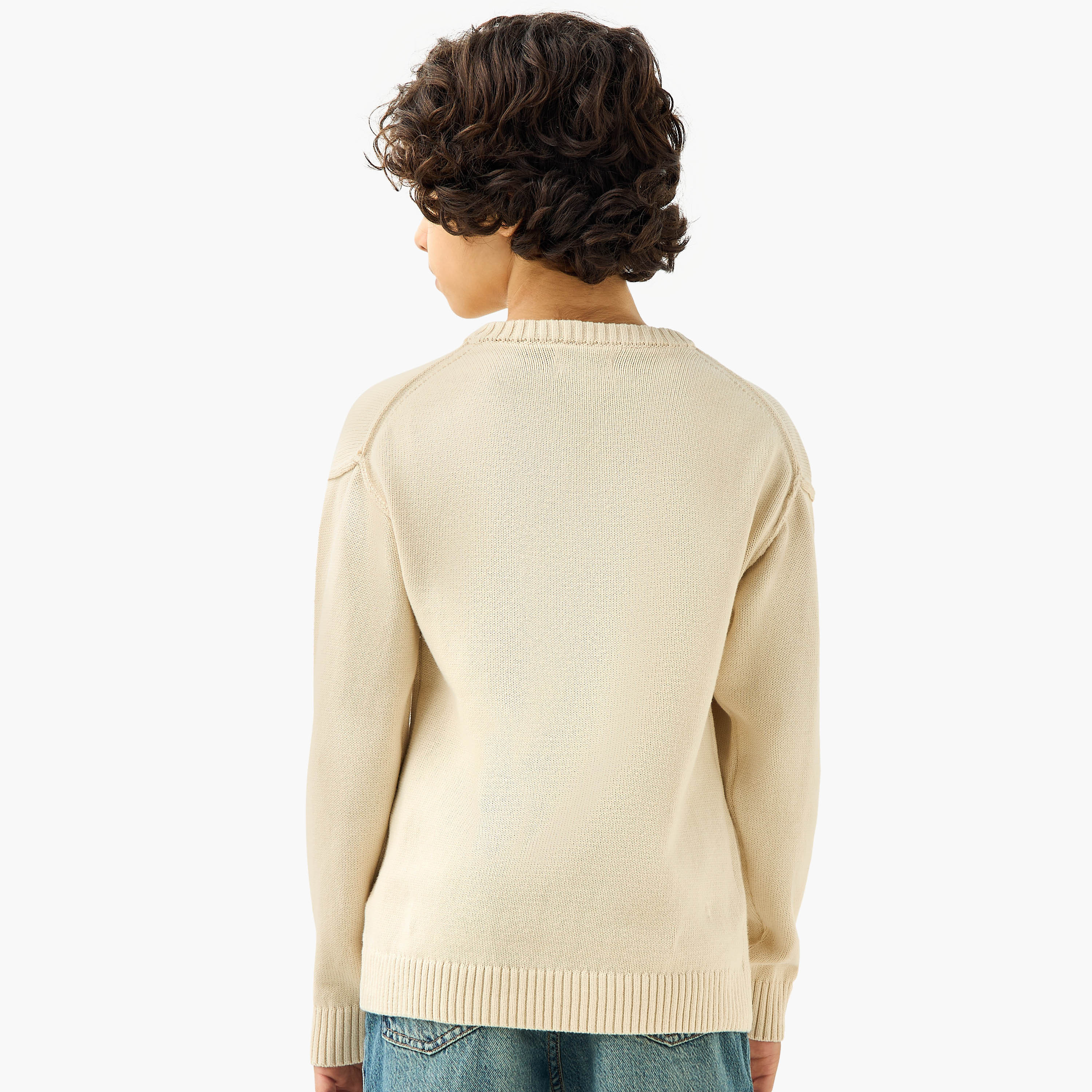 Juniors Textured Crew Neck Pullover with Long Sleeves-boys-clothing-jumpersandcardigans-image-3