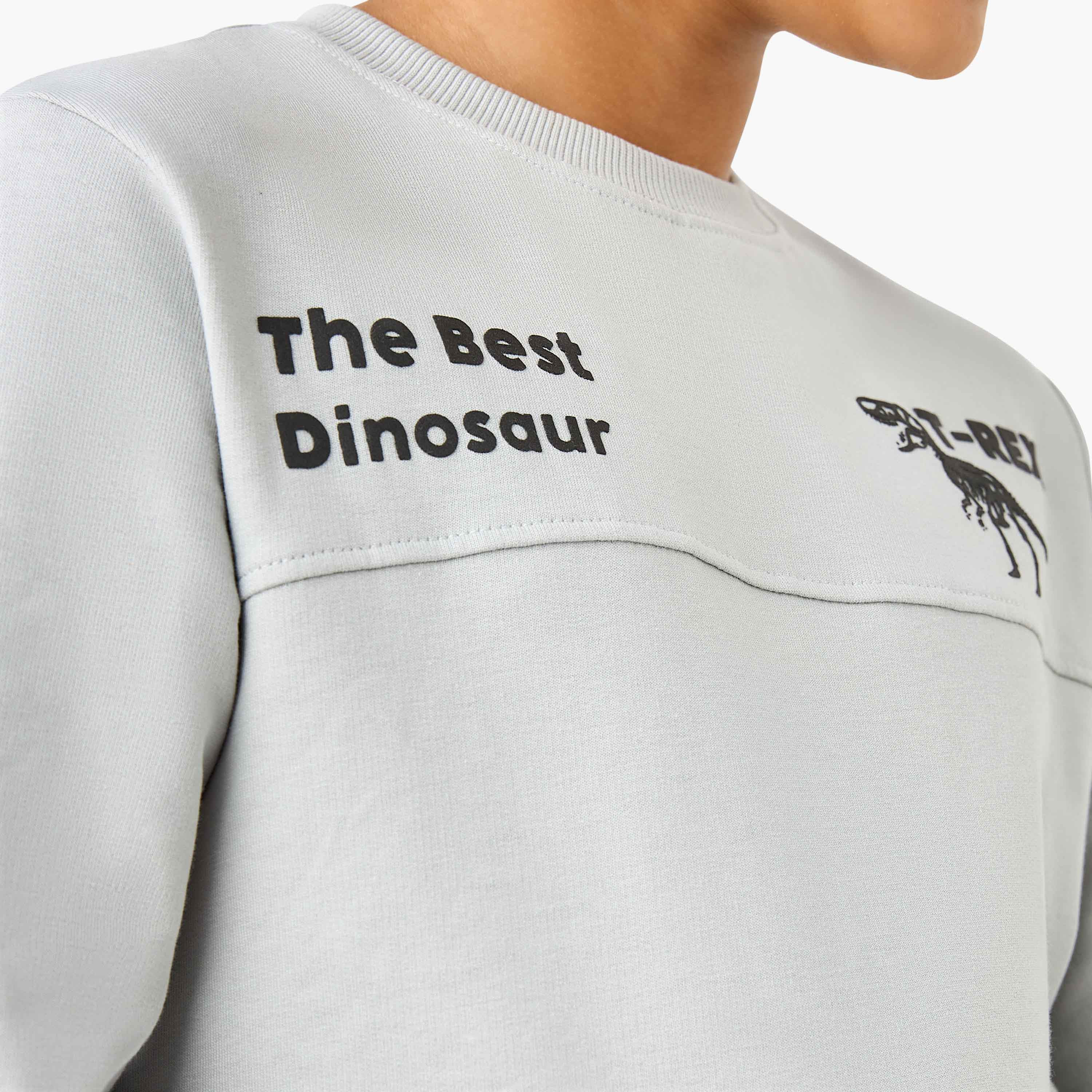 Juniors T-Rex Print Sweatshirt with Long Sleeves-boys-clothing-sweatshirts-image-5