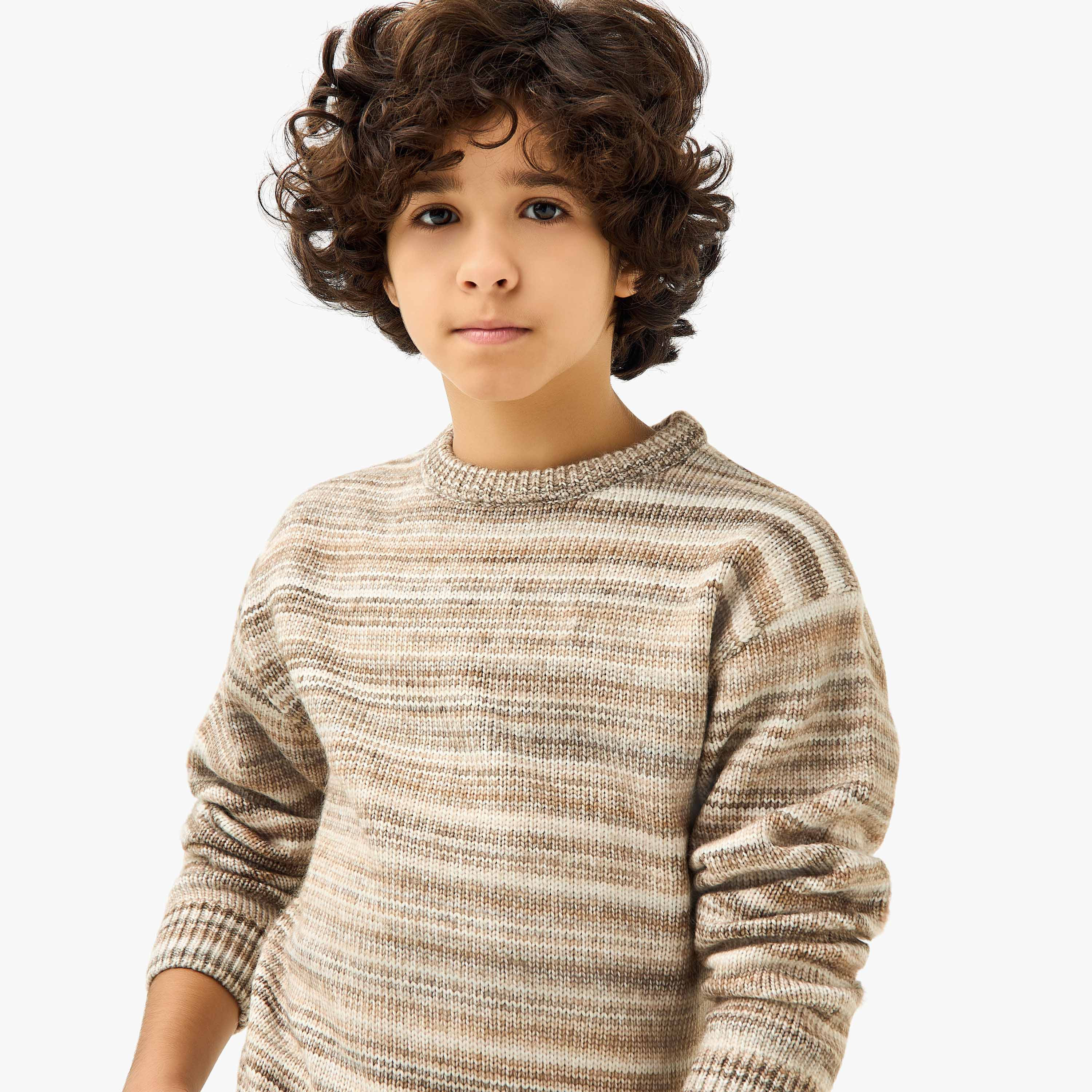 Eligo Striped Crew Neck Pullover with Long Sleeves-boys-clothing-jumpersandcardigans-image-4